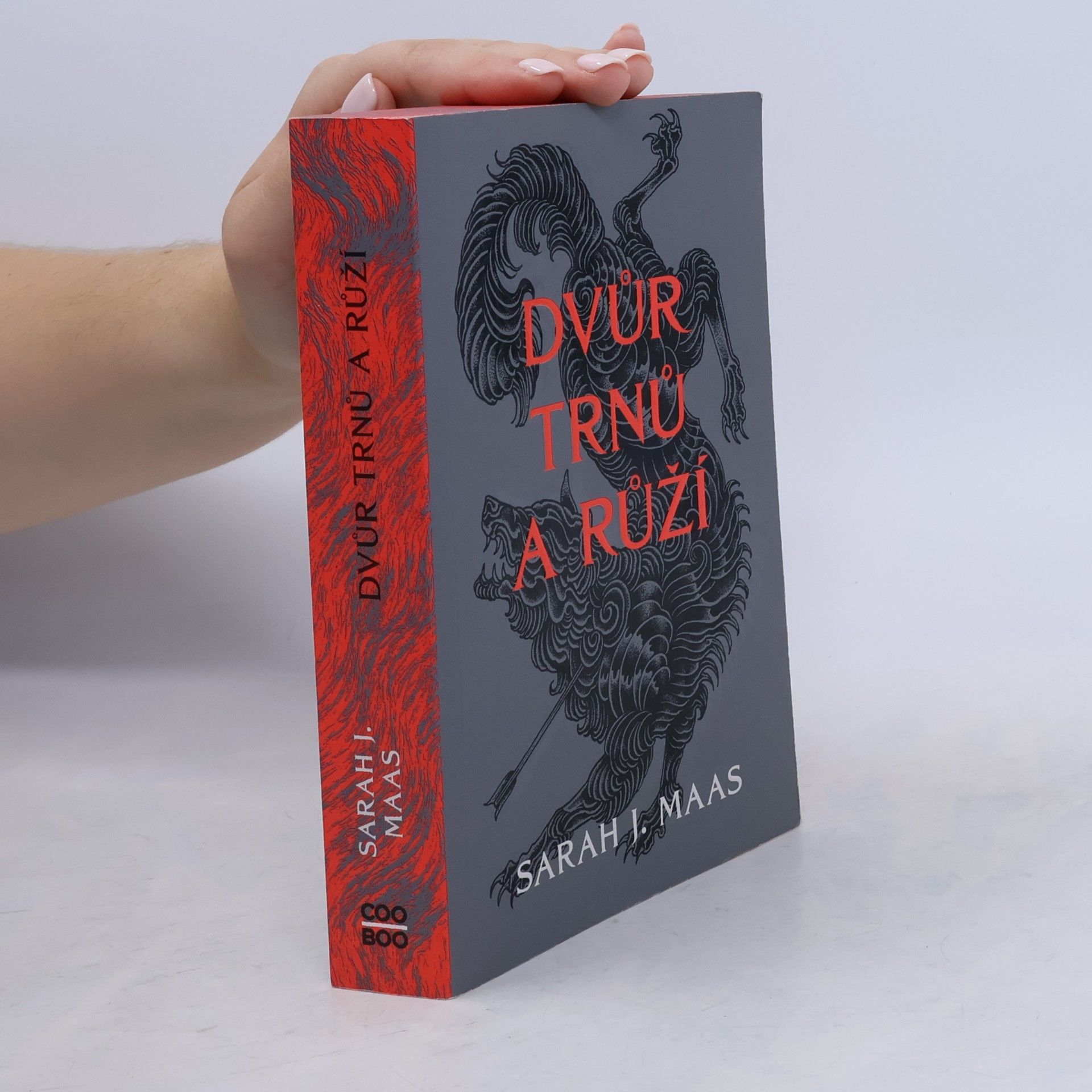 Sarah J. Maasová Dvůr trnů a růží