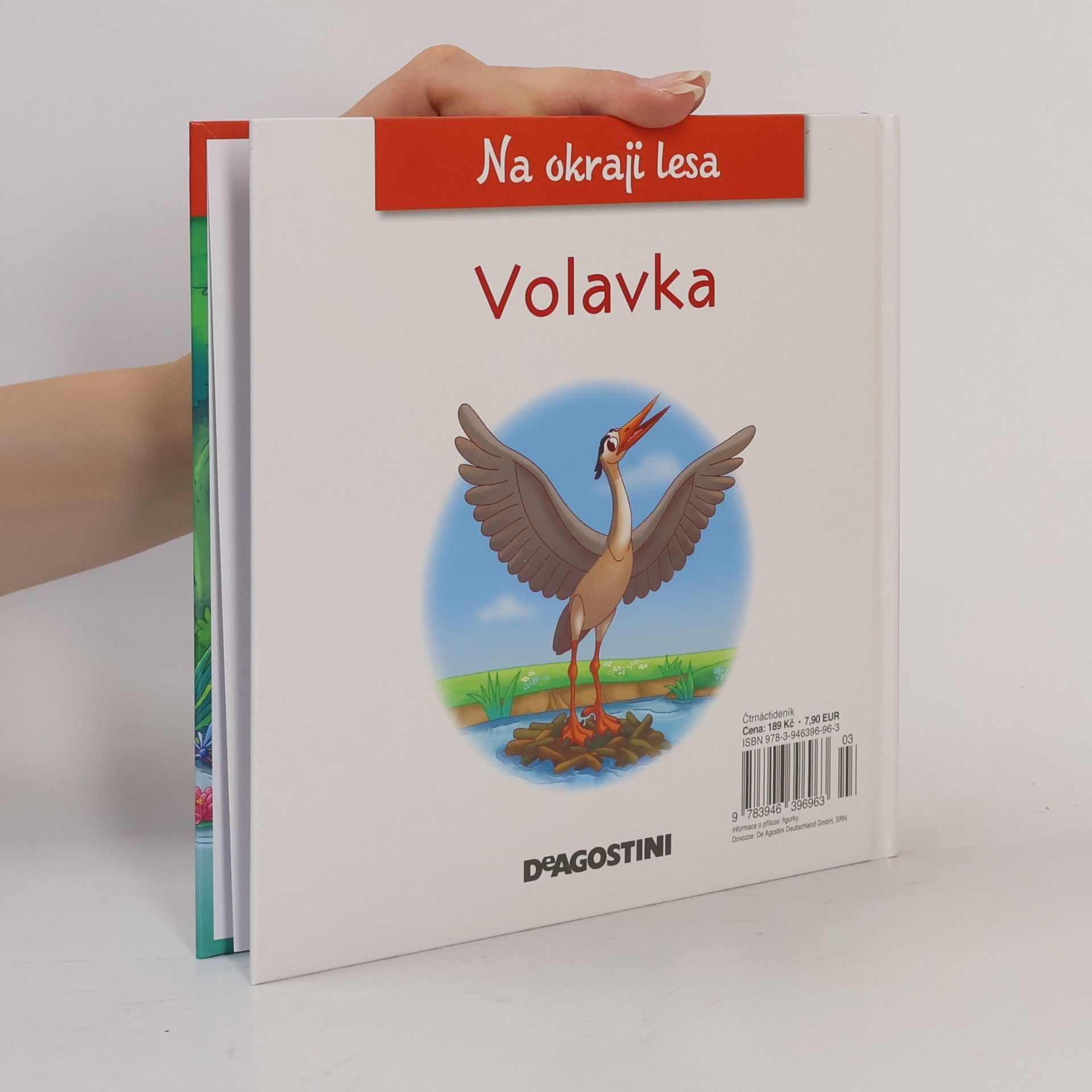 Autorenkollektiv Na okraji lesa 63. Volavka