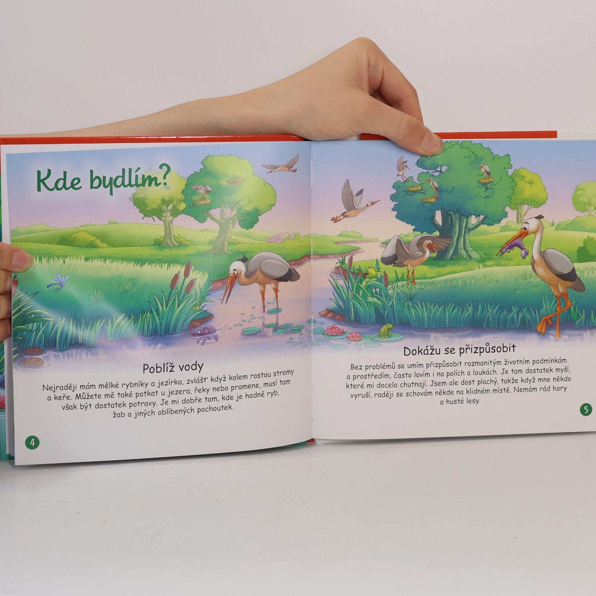 Autorenkollektiv Na okraji lesa 63. Volavka