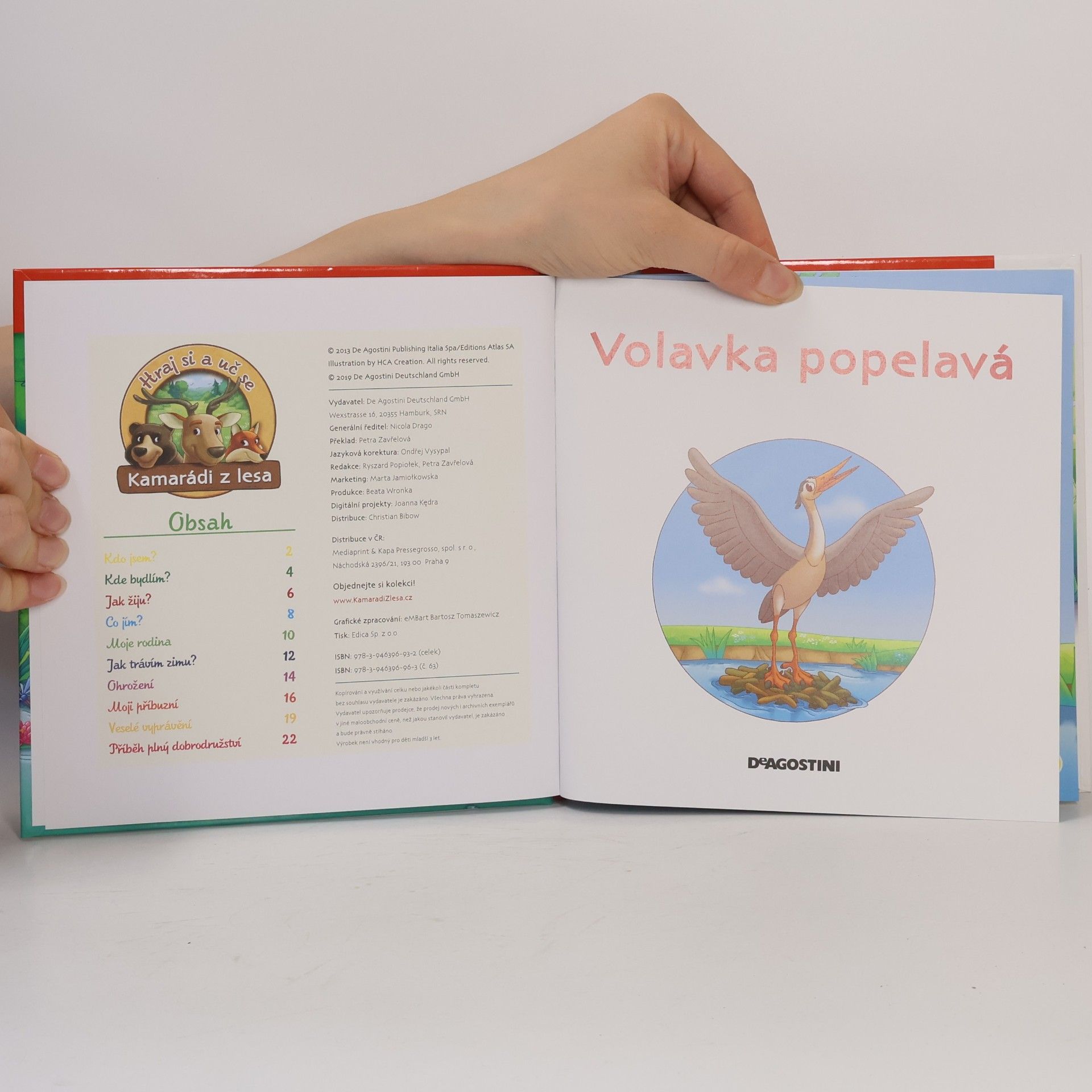 Autorenkollektiv Na okraji lesa 63. Volavka