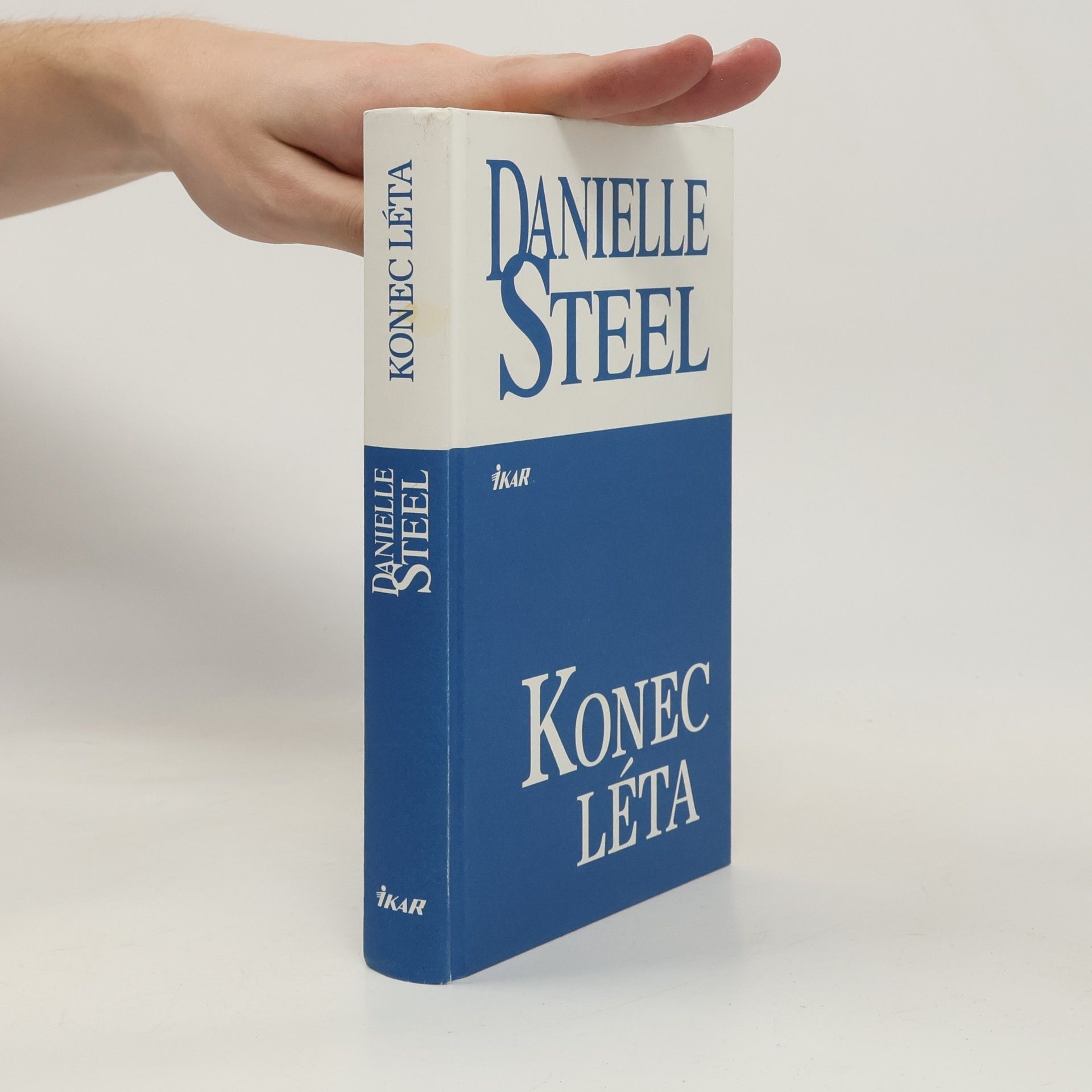 Danielle Steel Konec léta