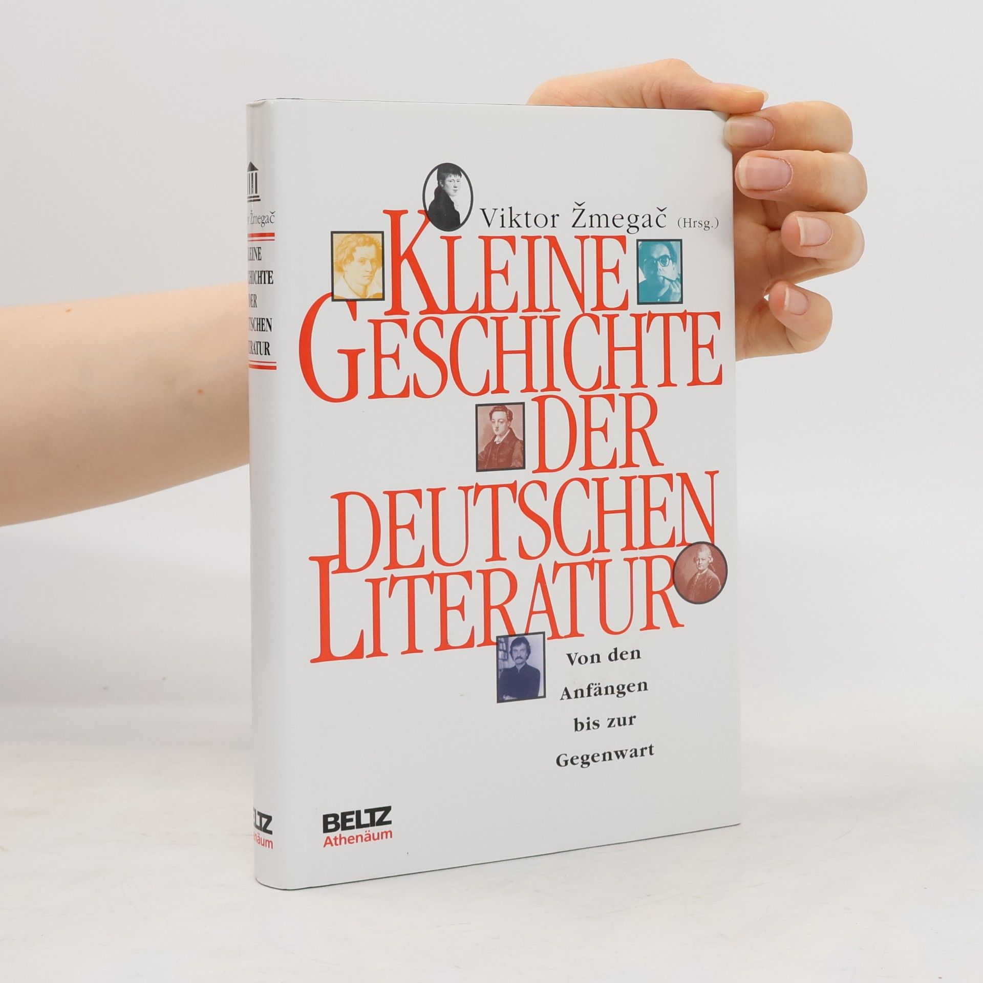 Viktor Žmegač Kleine Geschichte der deutschen Literatur