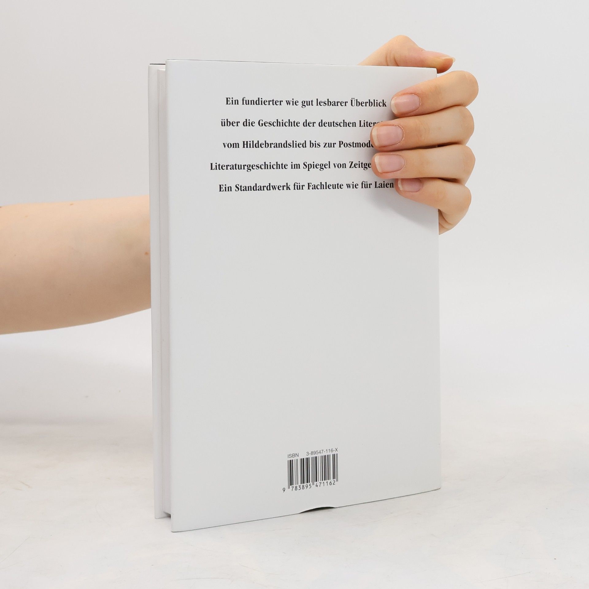 Viktor Žmegač Kleine Geschichte der deutschen Literatur
