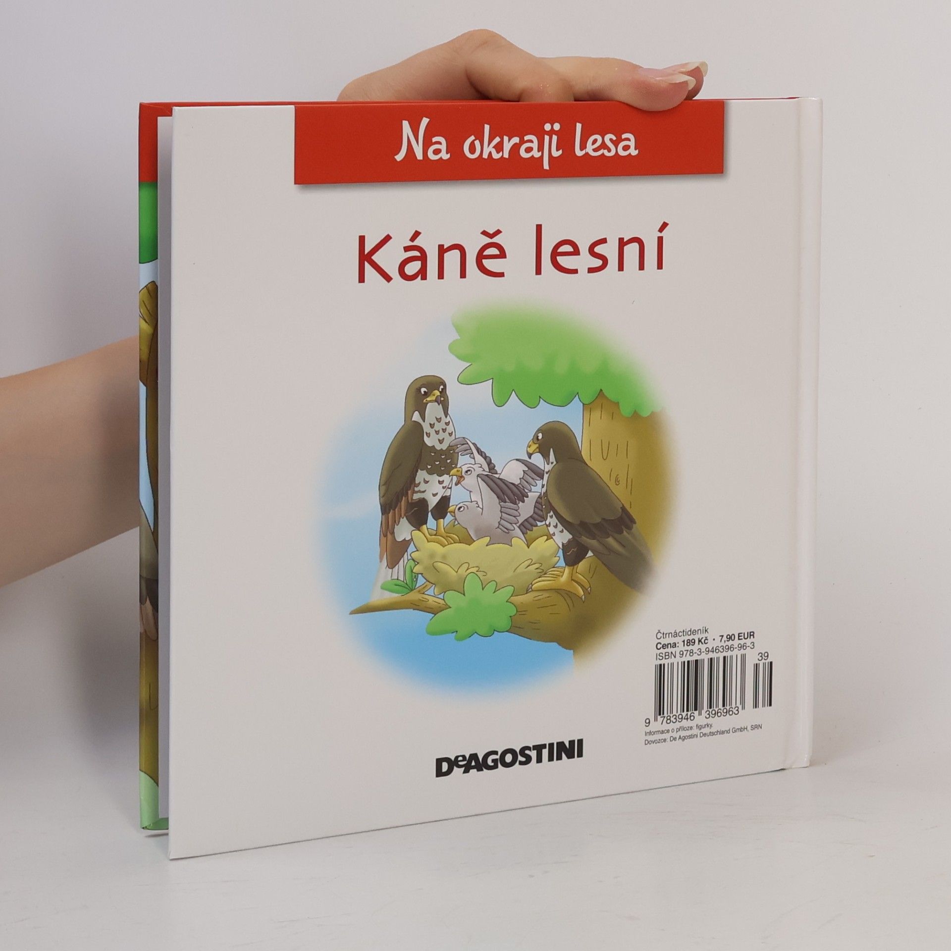 Petra Zavřelová Na okraji lesa 55. Káně lesní