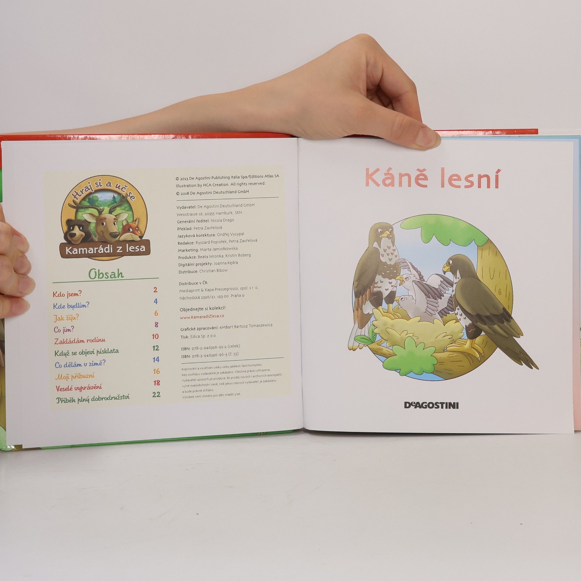 Petra Zavřelová Na okraji lesa 55. Káně lesní