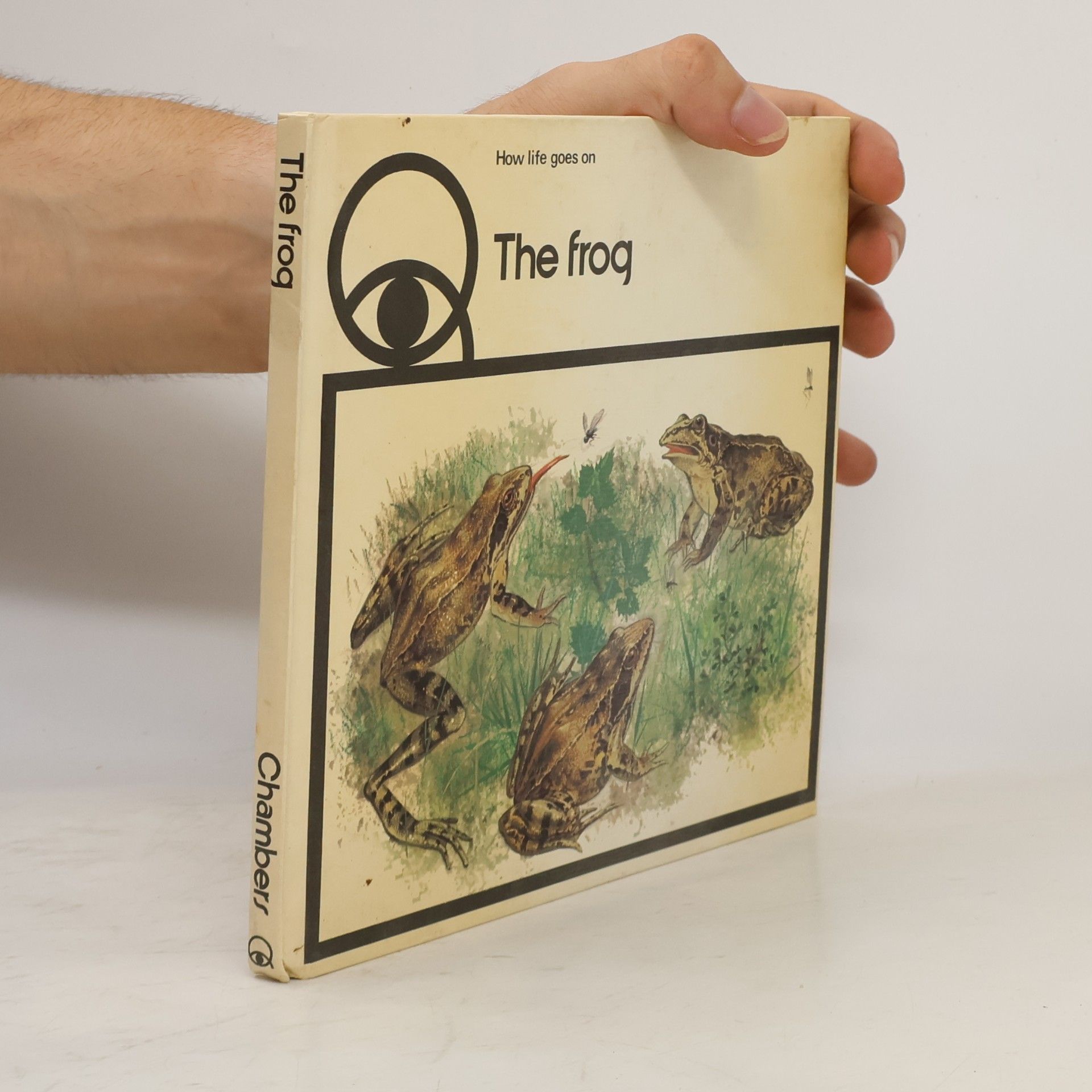The Frog