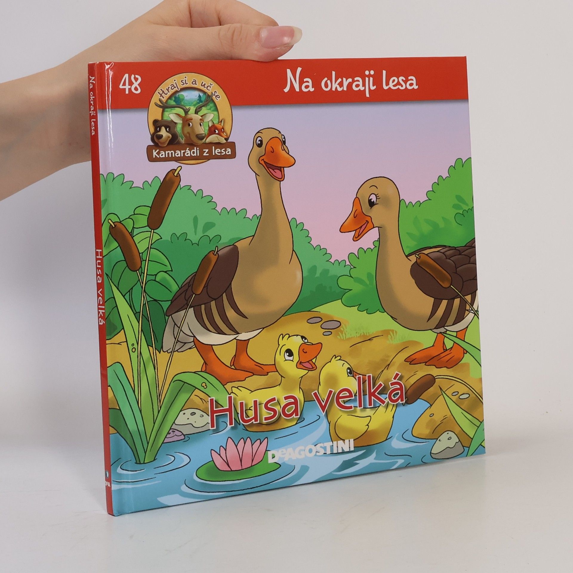 Autorenkollektiv Na okraji lesa 48. Husa velká