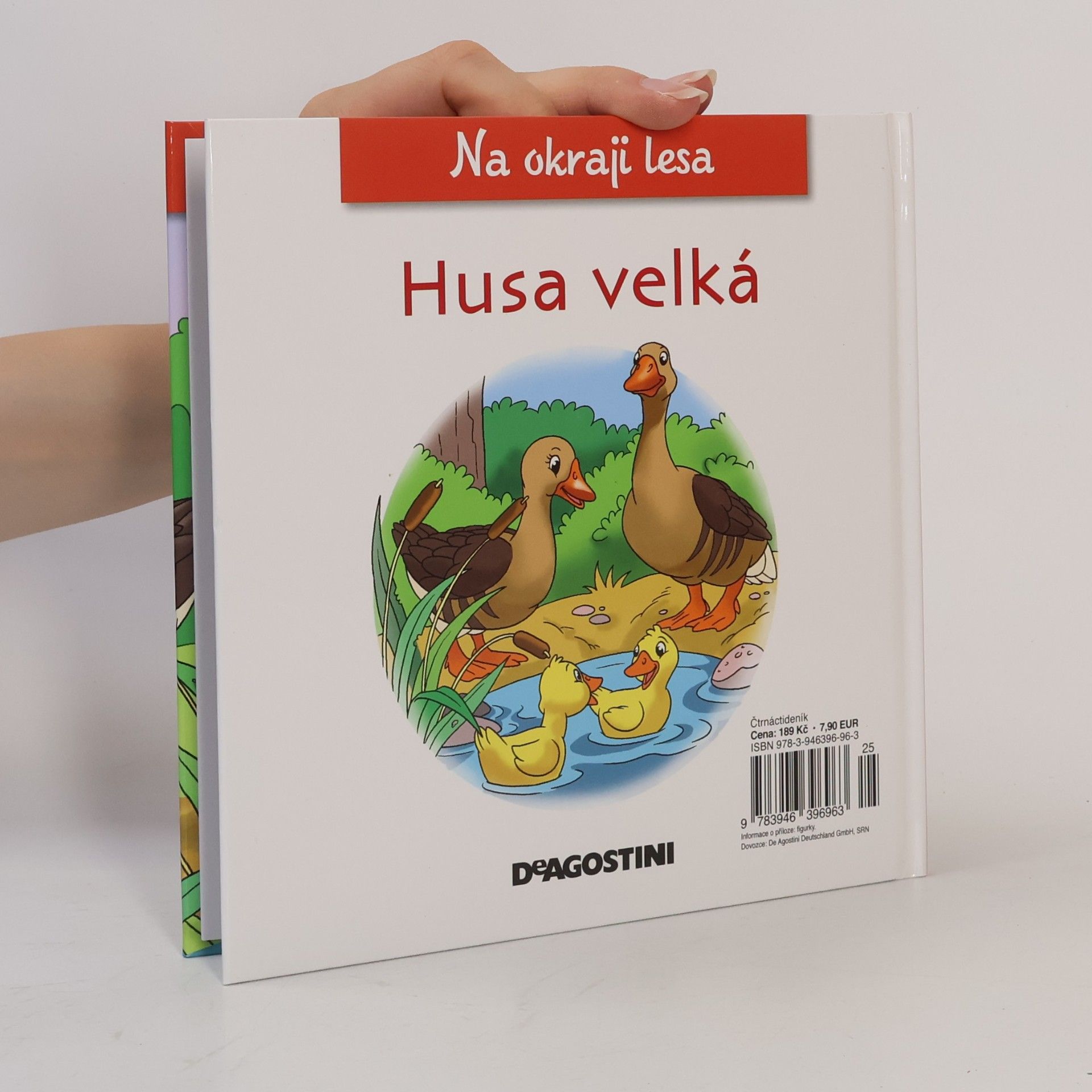Collectif d'auteurs Na okraji lesa 48. Husa velká