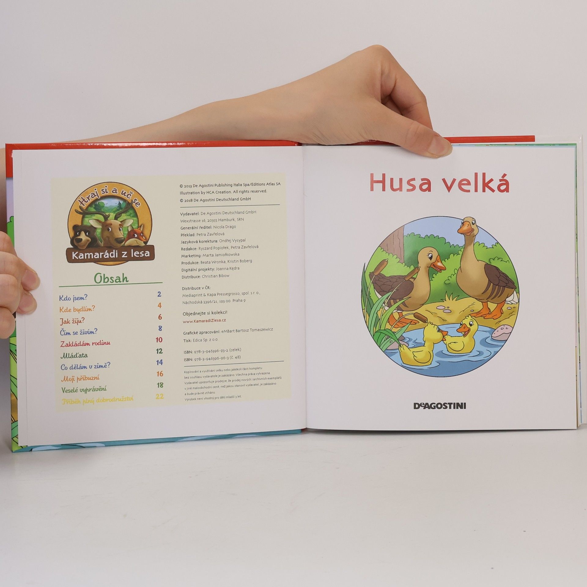 Collectif d'auteurs Na okraji lesa 48. Husa velká