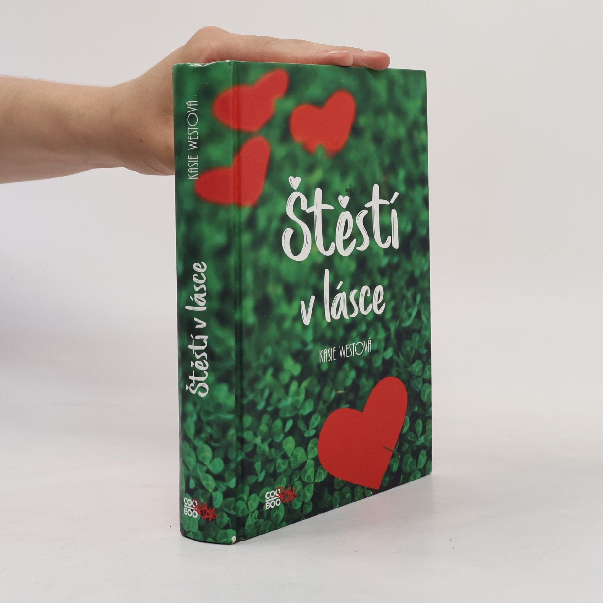 Kasie West Štěstí v lásce