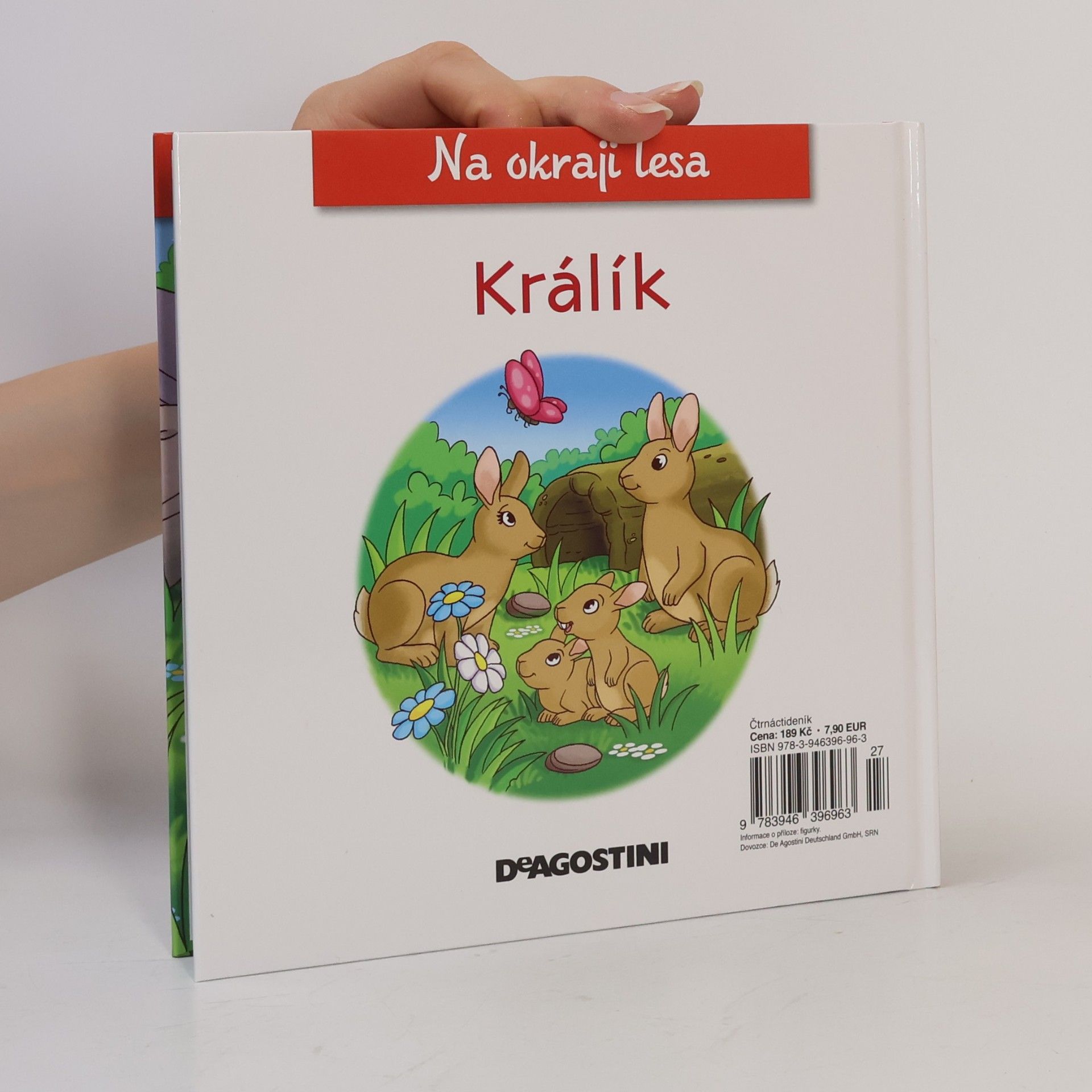 Autorenkollektiv Na okraji lesa č. 49. Králík