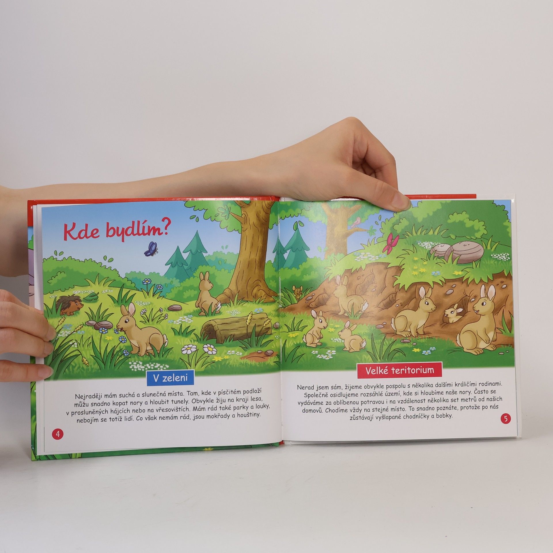 Autorenkollektiv Na okraji lesa č. 49. Králík