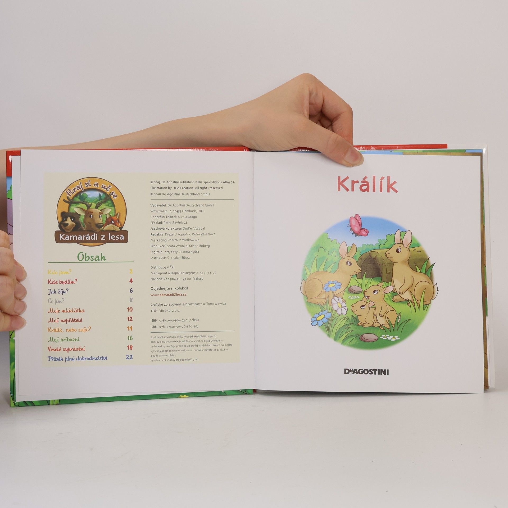 Autorenkollektiv Na okraji lesa č. 49. Králík