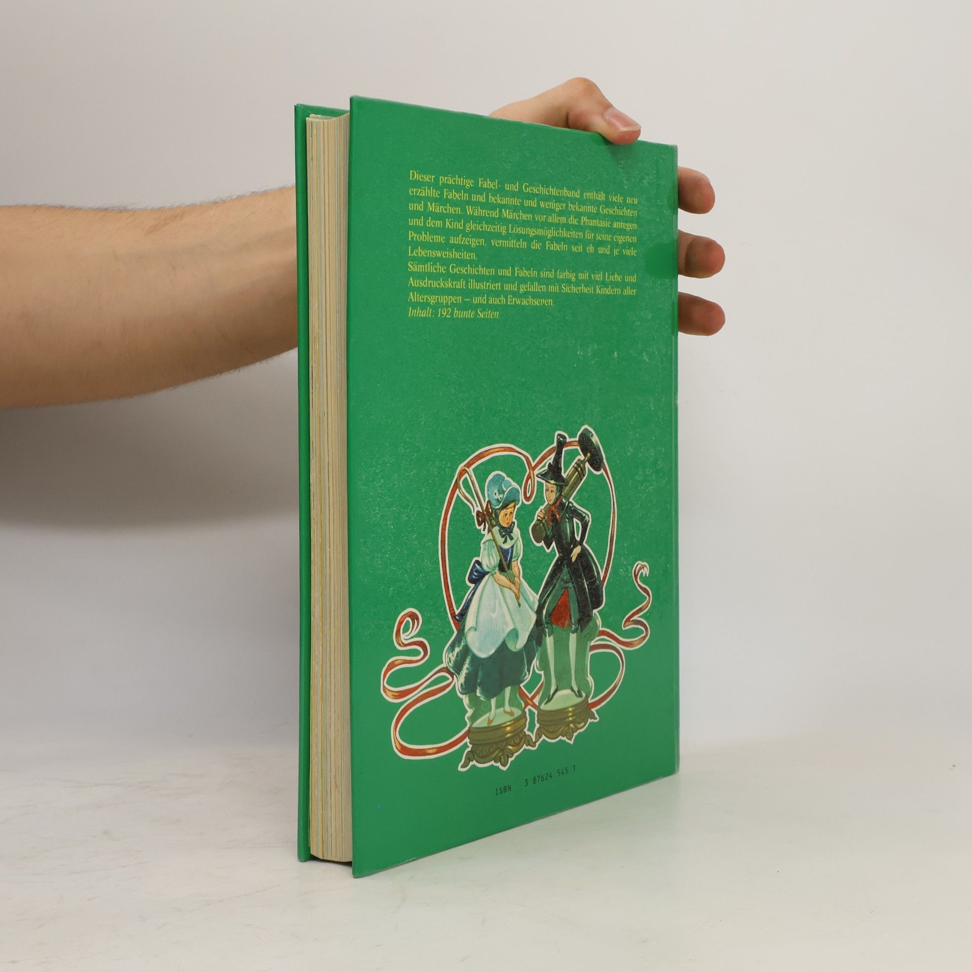 Lucy Kincaid Mein großes Fabel- und Geschichtenbuch