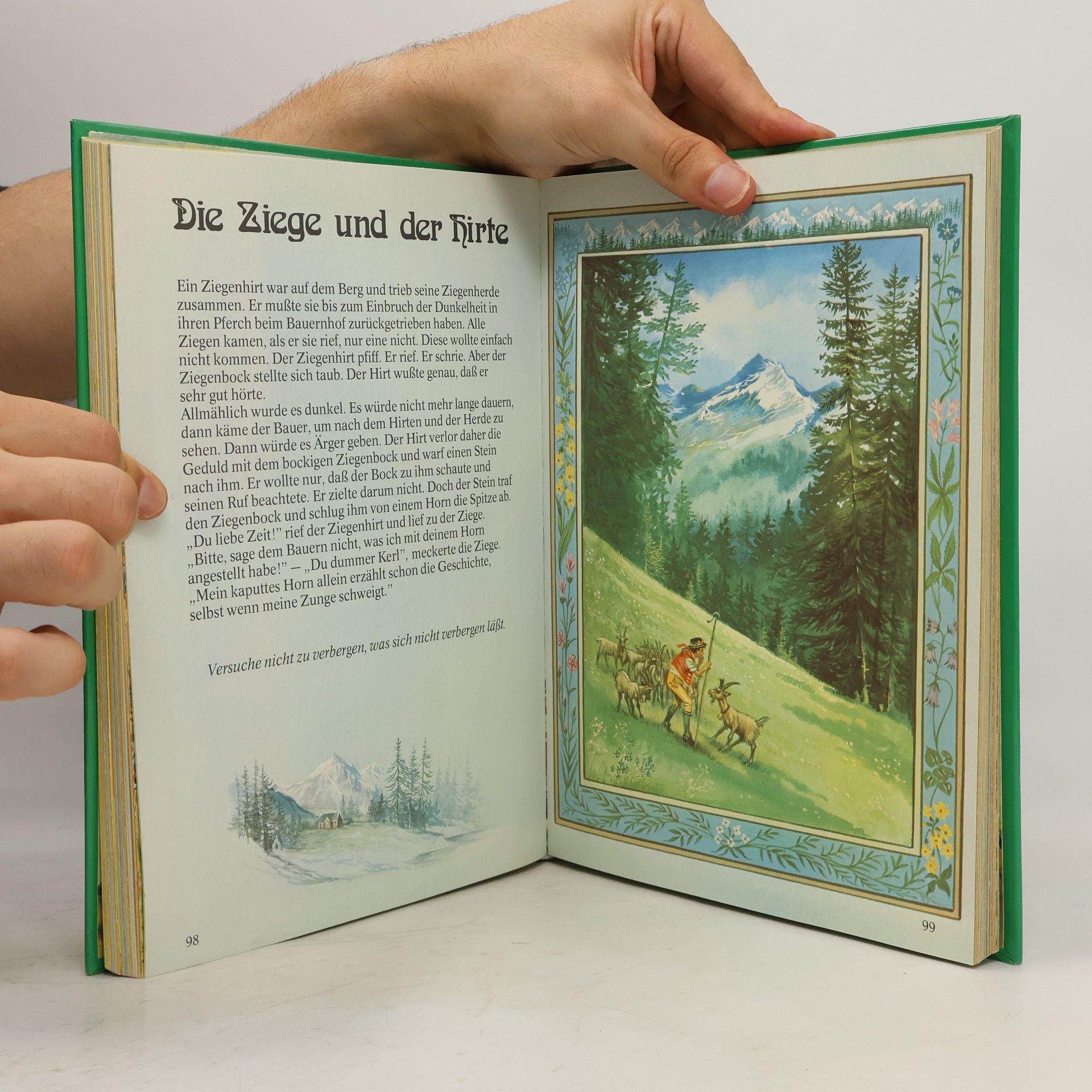 Lucy Kincaid Mein großes Fabel- und Geschichtenbuch