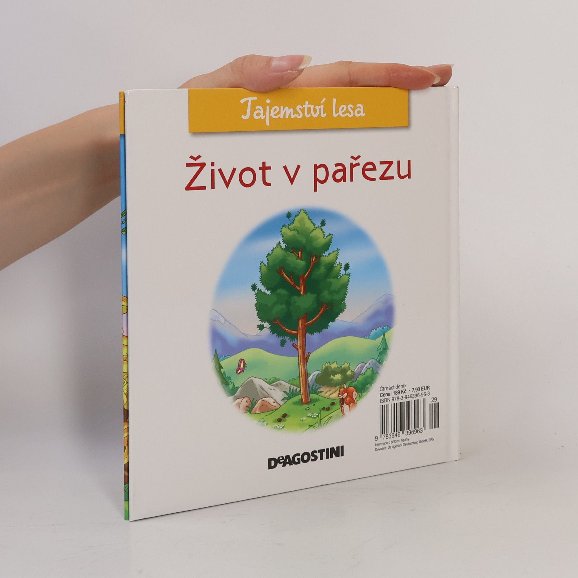 AA.VV. Tajemství lesa 50. Život v pařezu