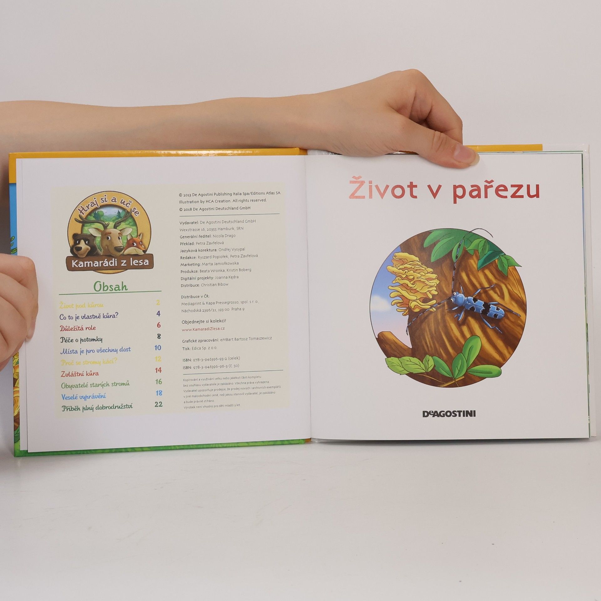 AA.VV. Tajemství lesa 50. Život v pařezu