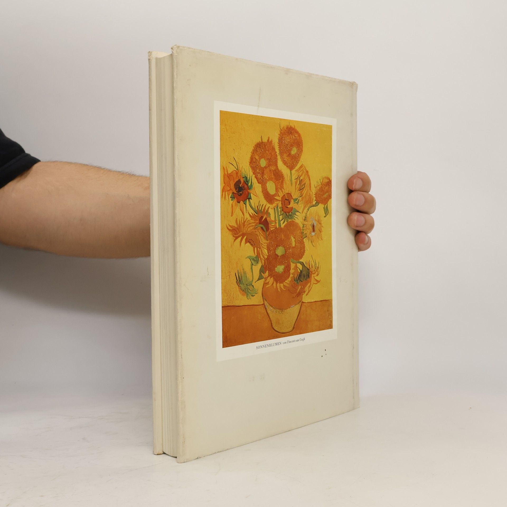 Autorenkollektiv Grosse Maler Berühmte Bilder