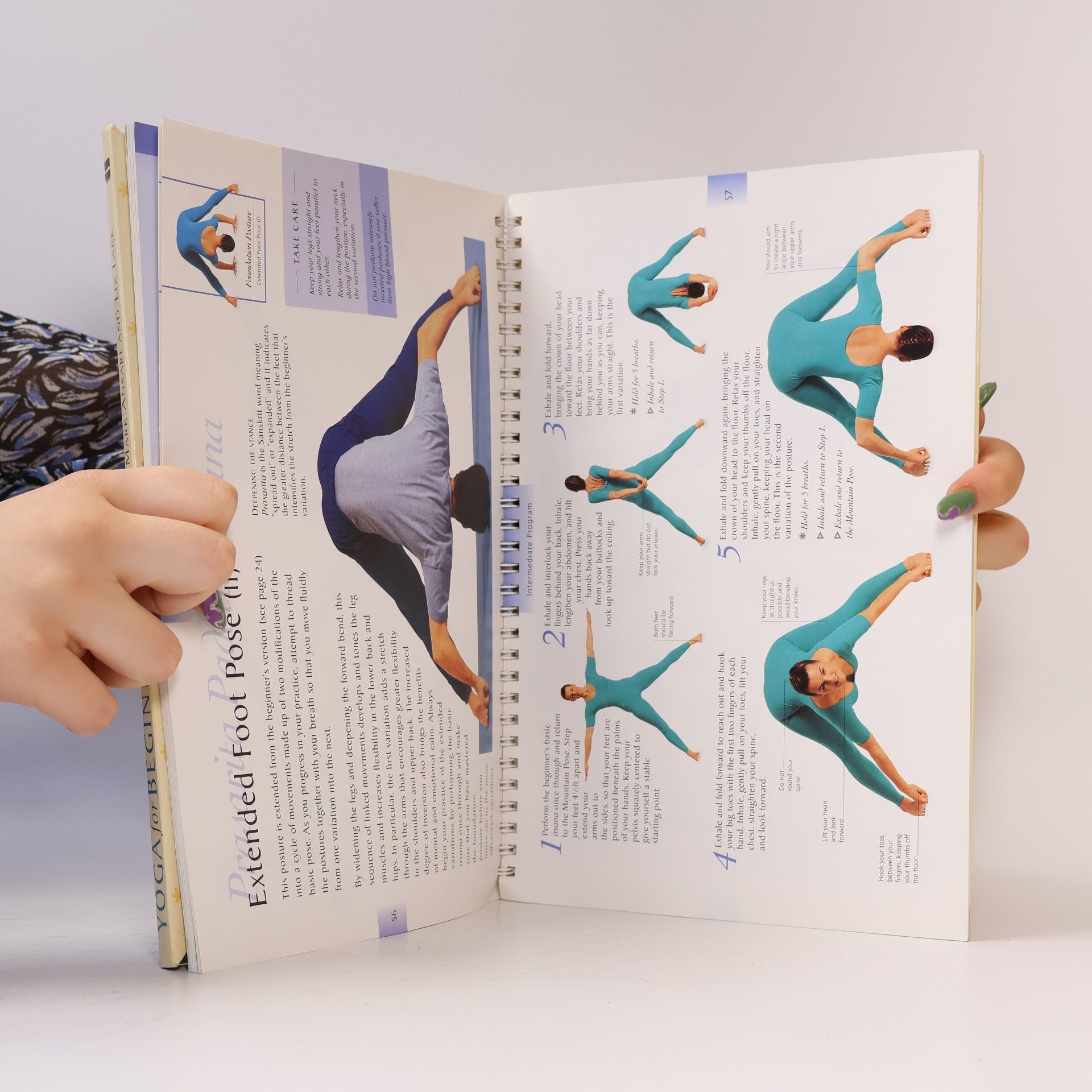 Mark Ansari Yoga for Beginners