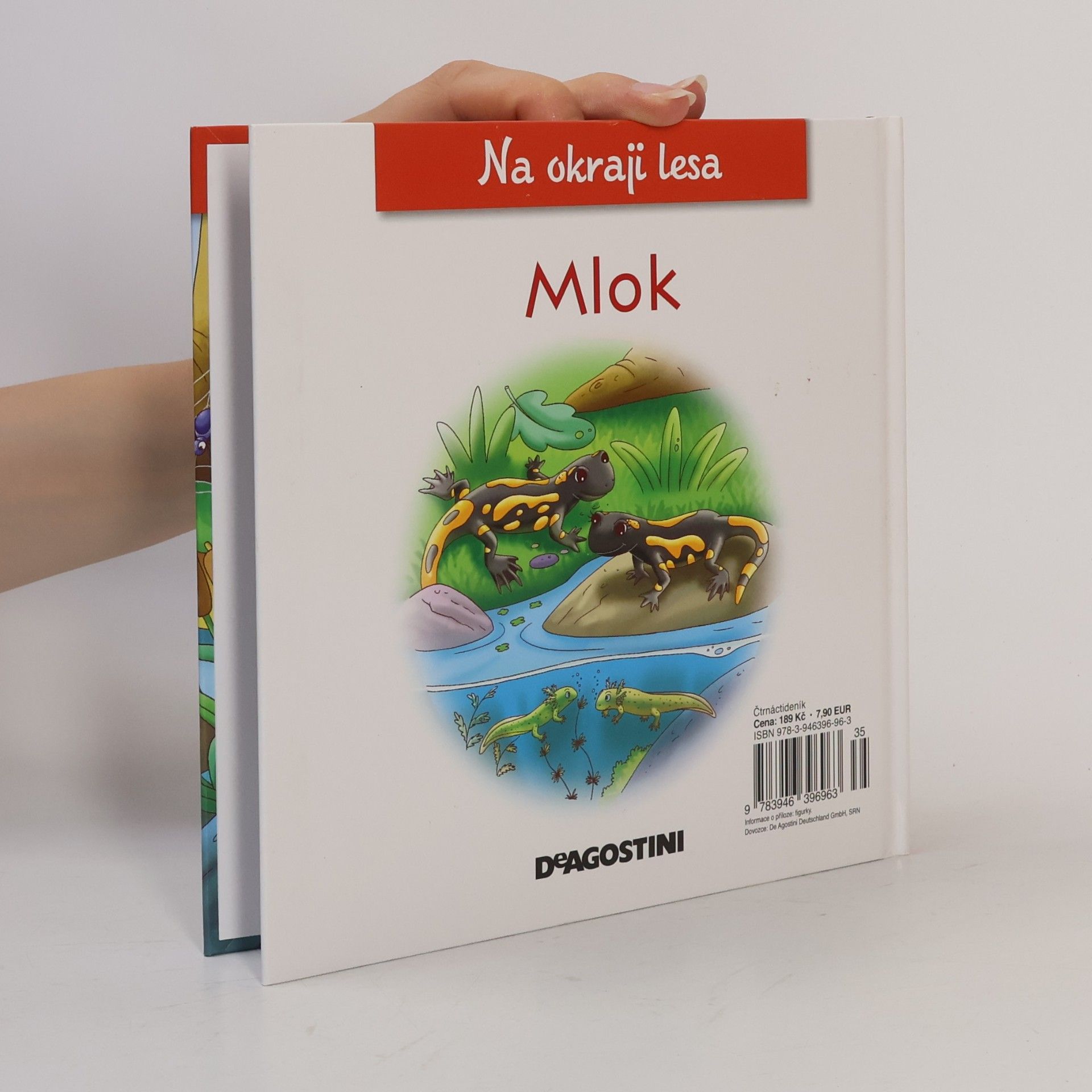 Kolektiv autorů Na okraji lesa 53. Mlok