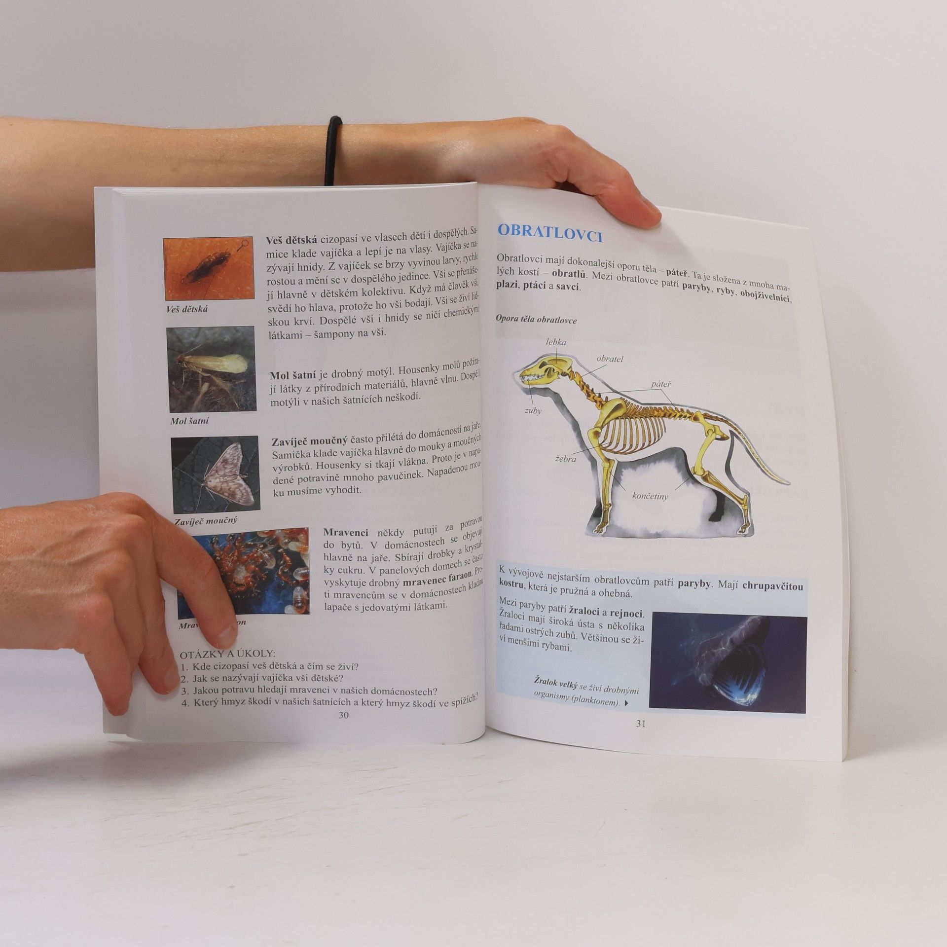 Jana Skýbová Přírodopis Zoologie