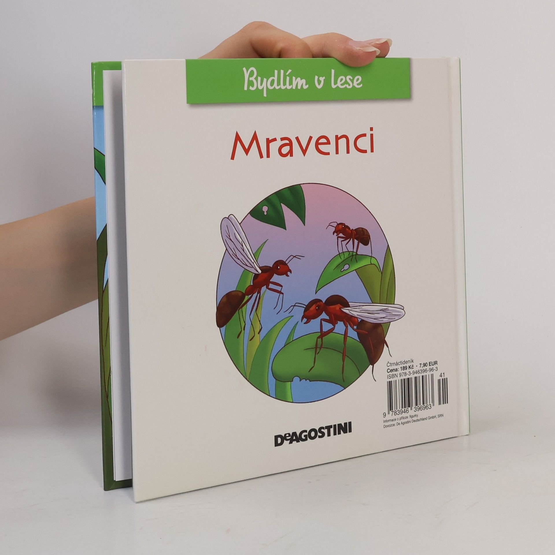 Collectif d'auteurs Bydlím v lese 30. Mravenci