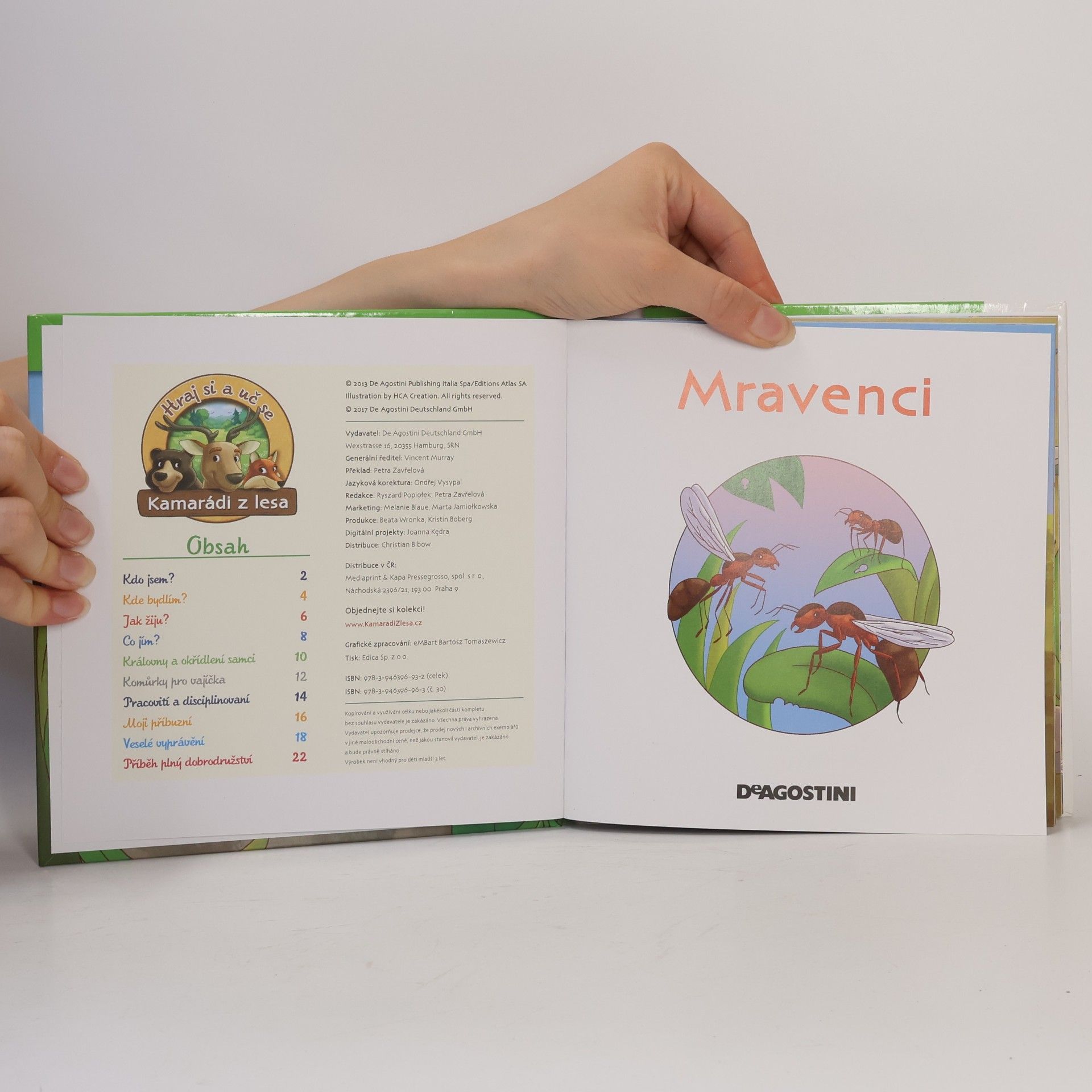 Collectif d'auteurs Bydlím v lese 30. Mravenci