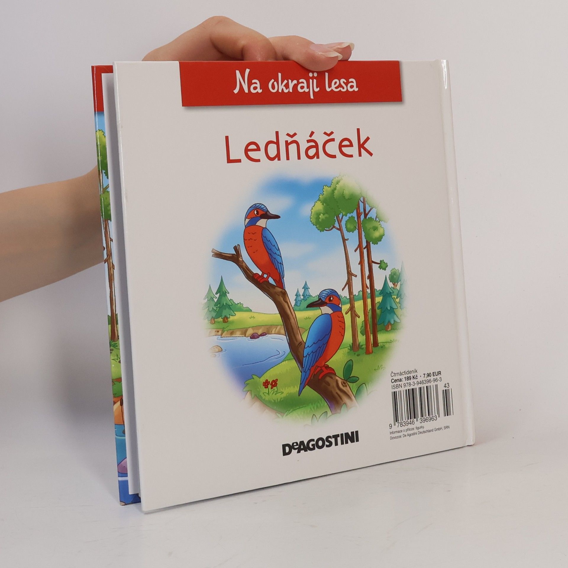 Kolektiv autorů Na okraji lesa 31. Ledňáček