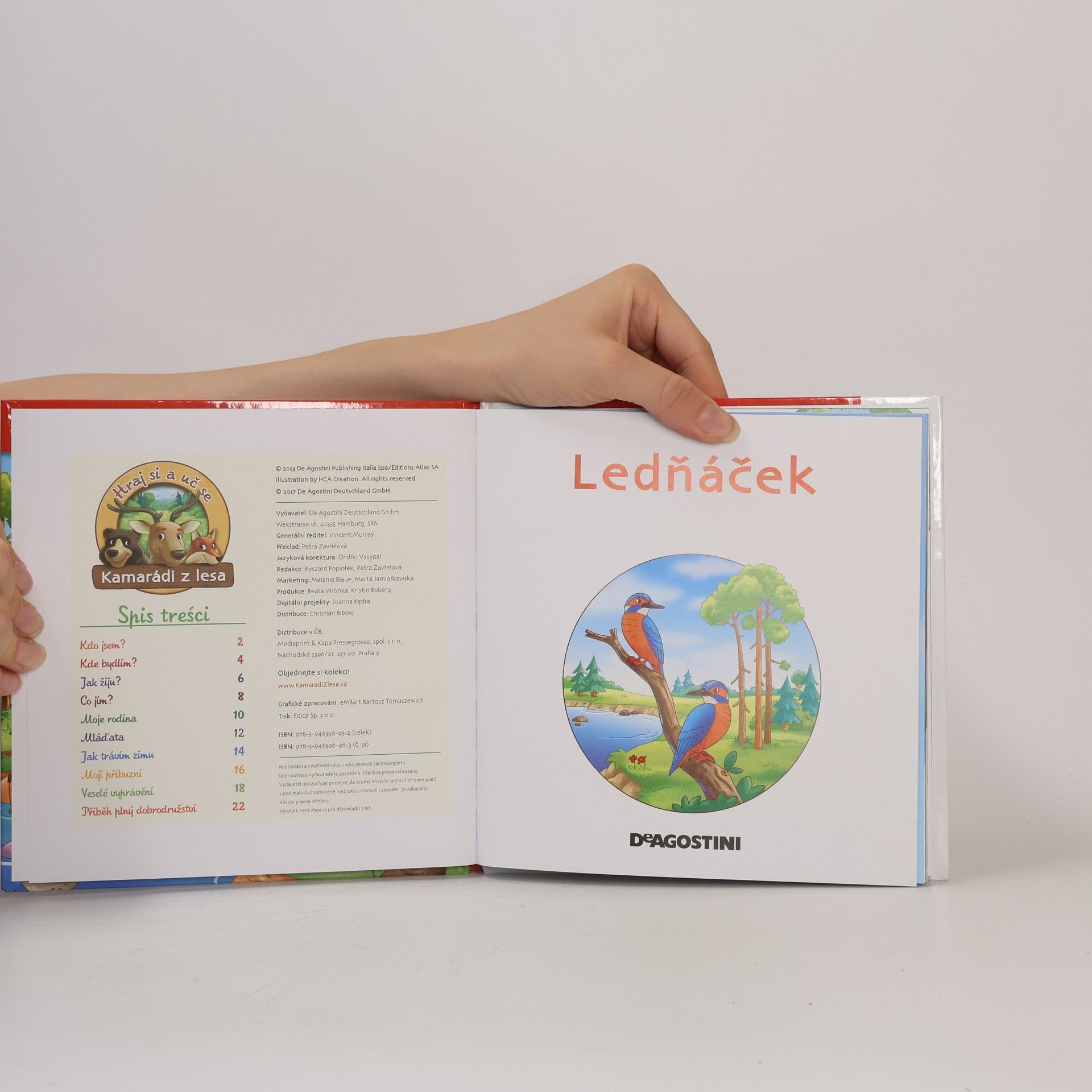 Kolektiv autorů Na okraji lesa 31. Ledňáček