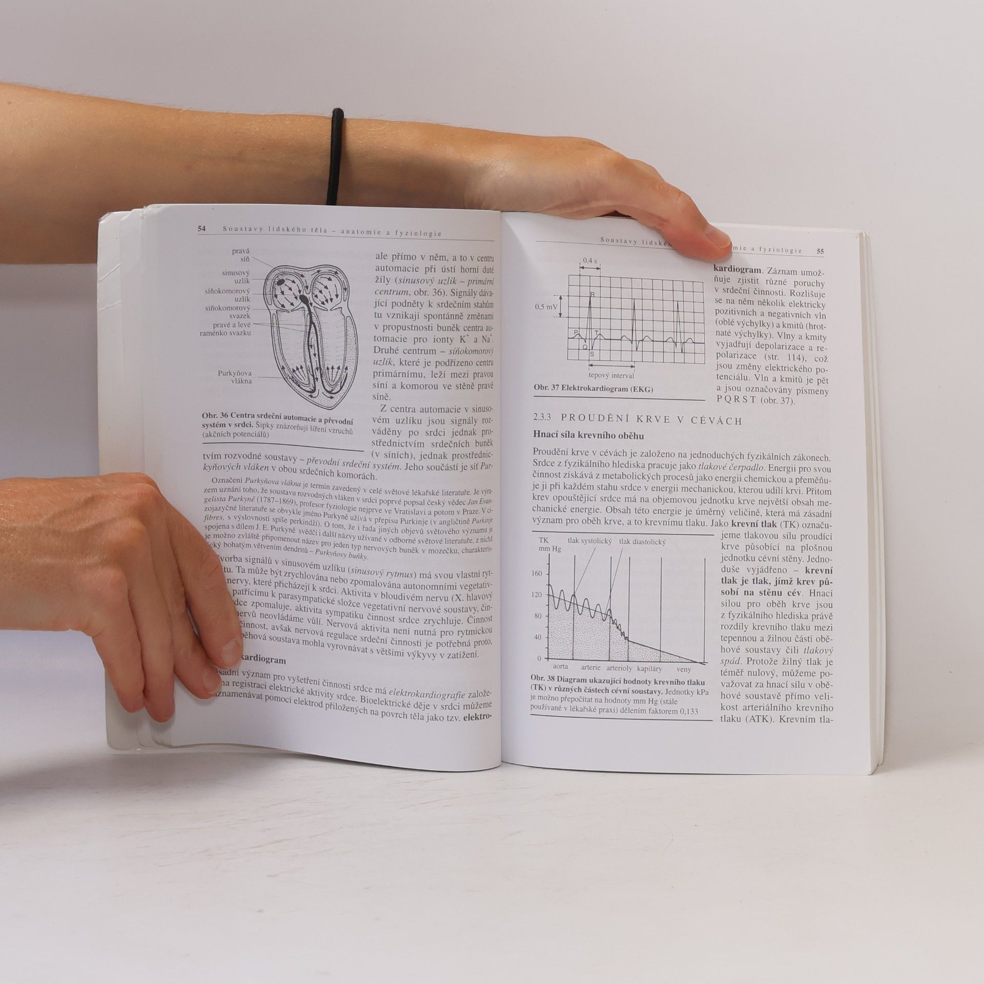 Jan Morav Biologie člověka : pro gymnázia