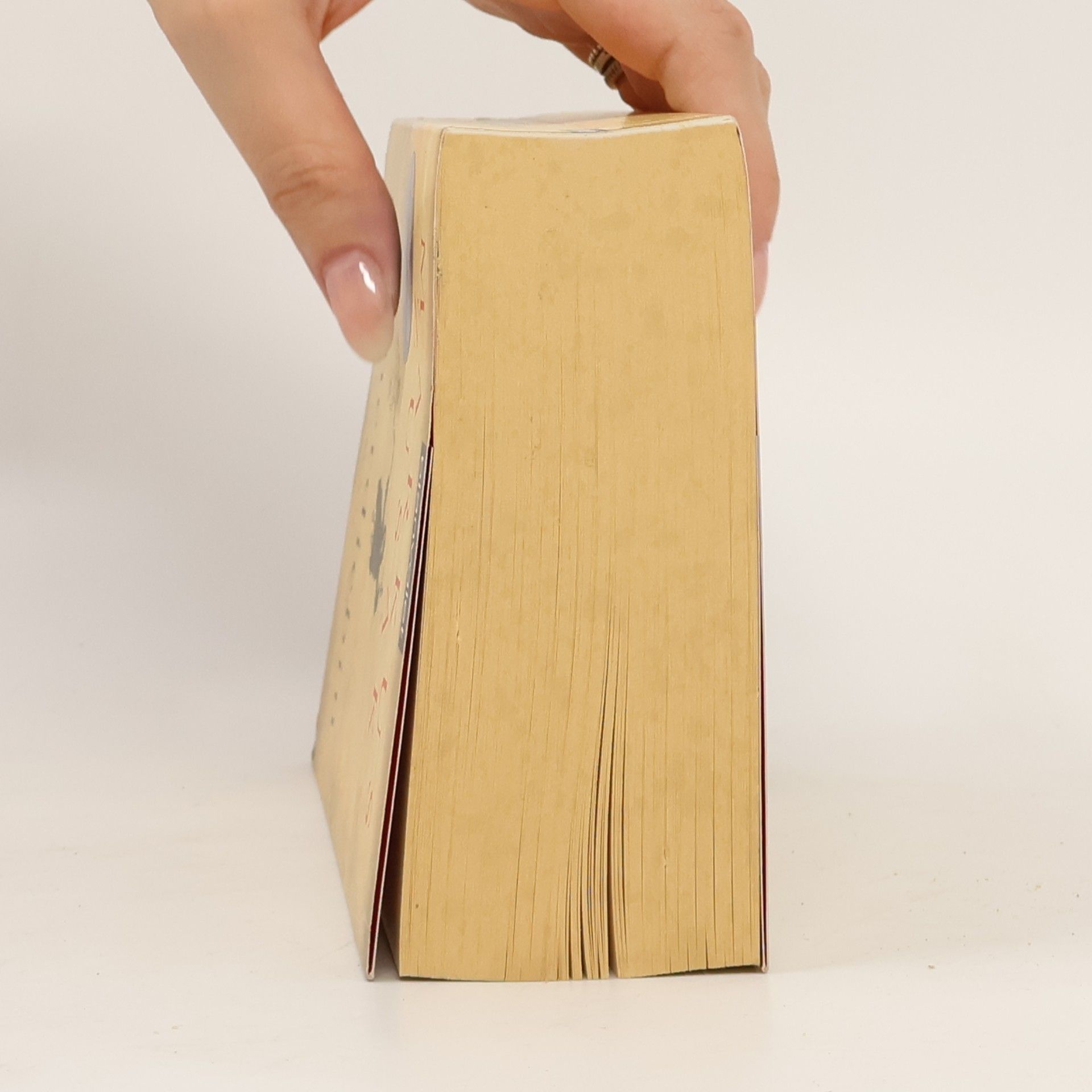 Markus Zusak Die Bücherdiebin: Roman