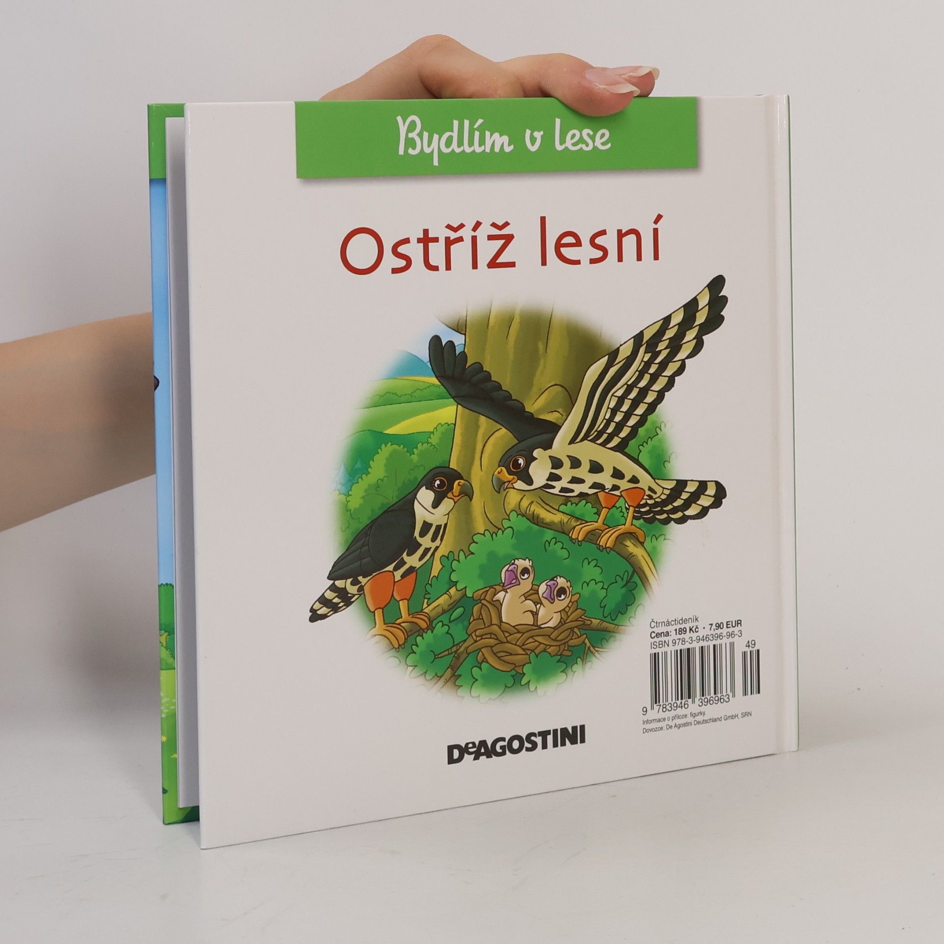 Kolektiv autorů Bydlím v lese. Ostříž lesní. 34