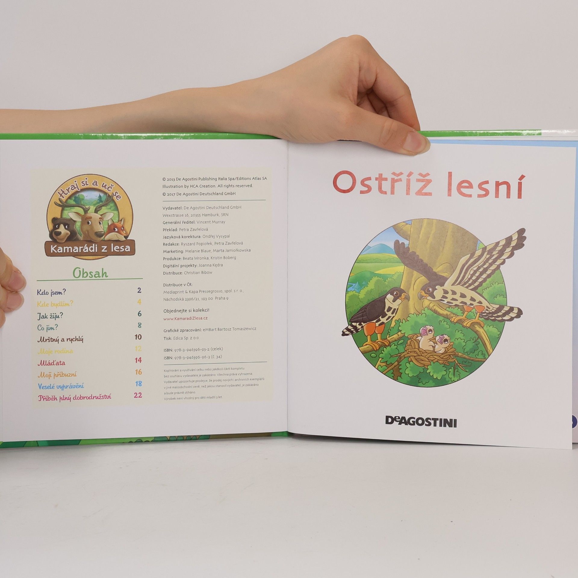 Kolektiv autorů Bydlím v lese. Ostříž lesní. 34