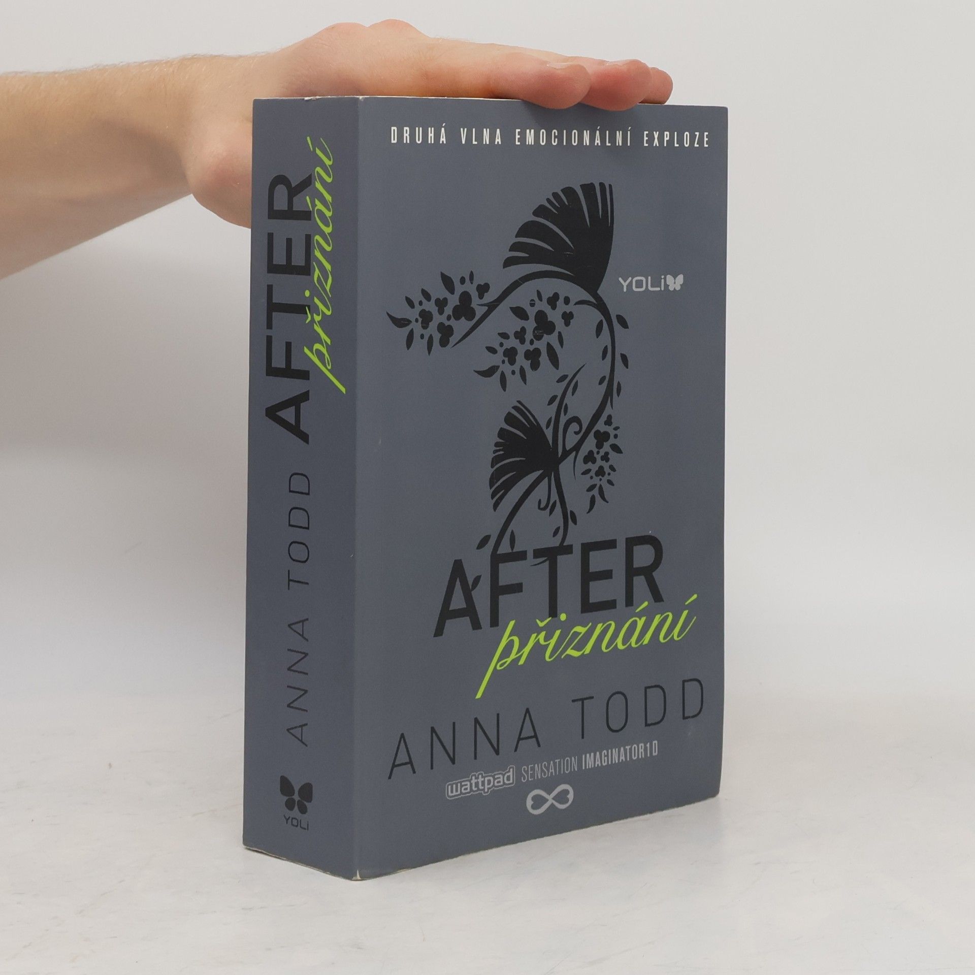 Anna Todd After. Přiznání
