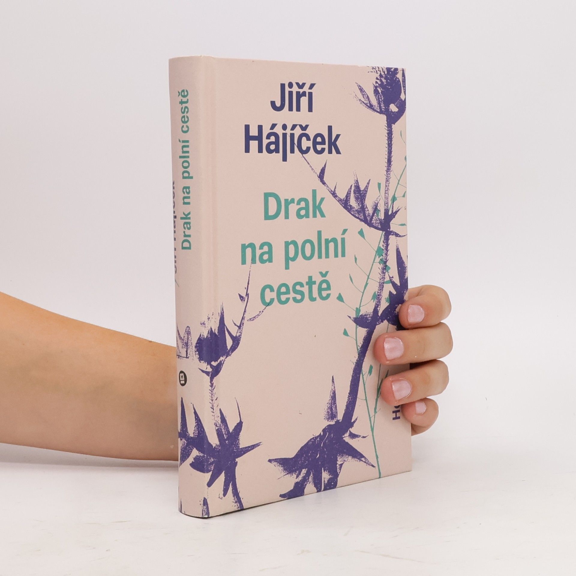 Jiří Hájíček Drak na polní cestě