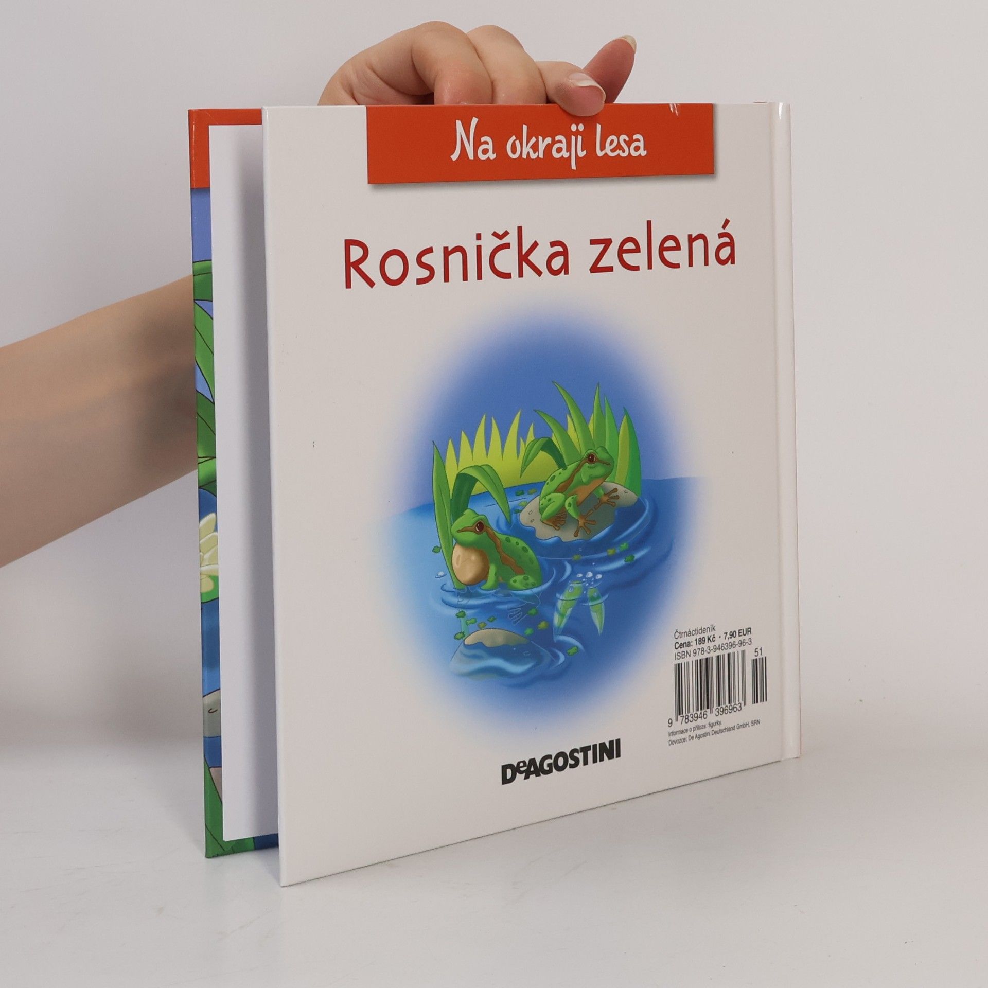 Autorenkollektiv Na okraji lesa 35. Rosnička zelená