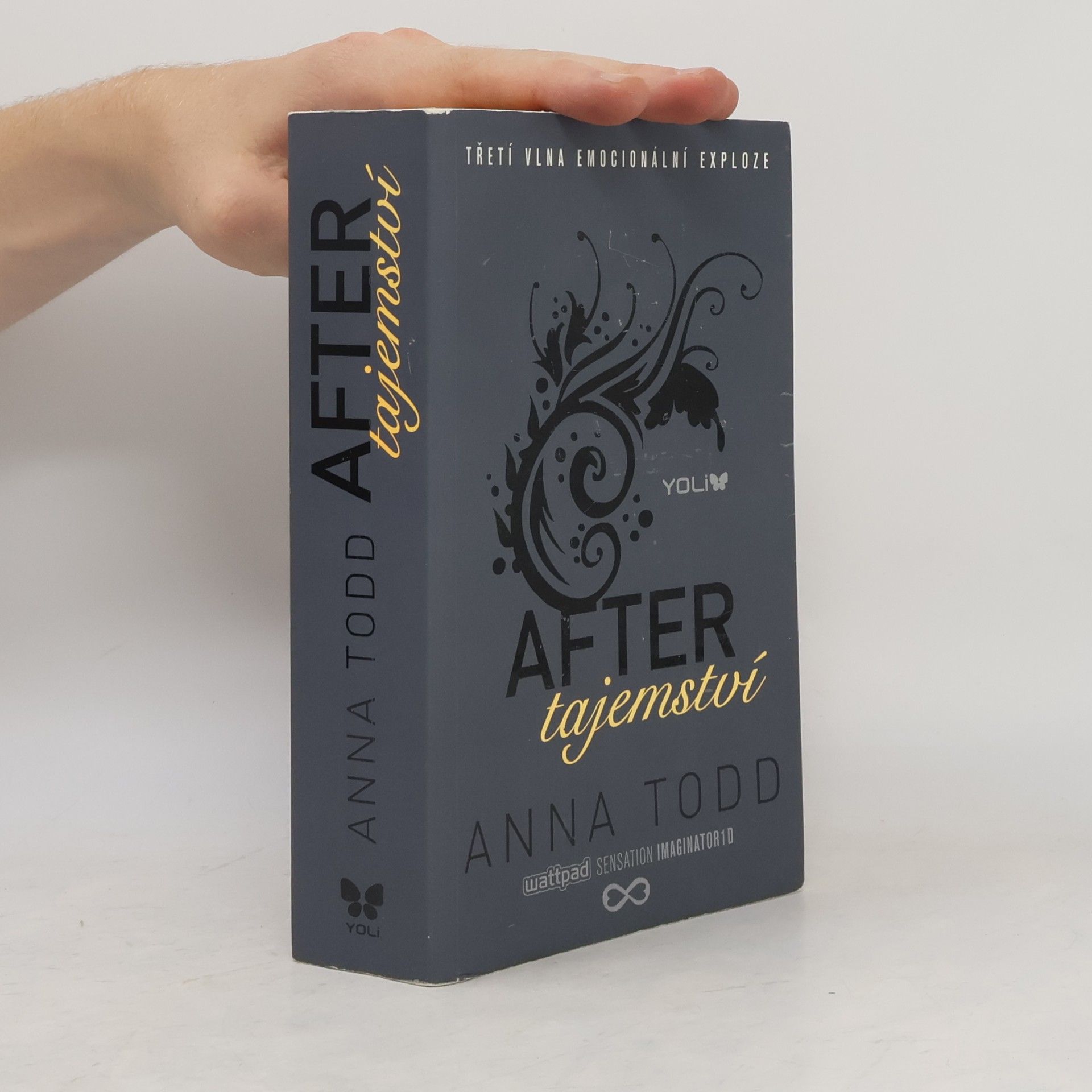 Anna Todd After. Tajemství