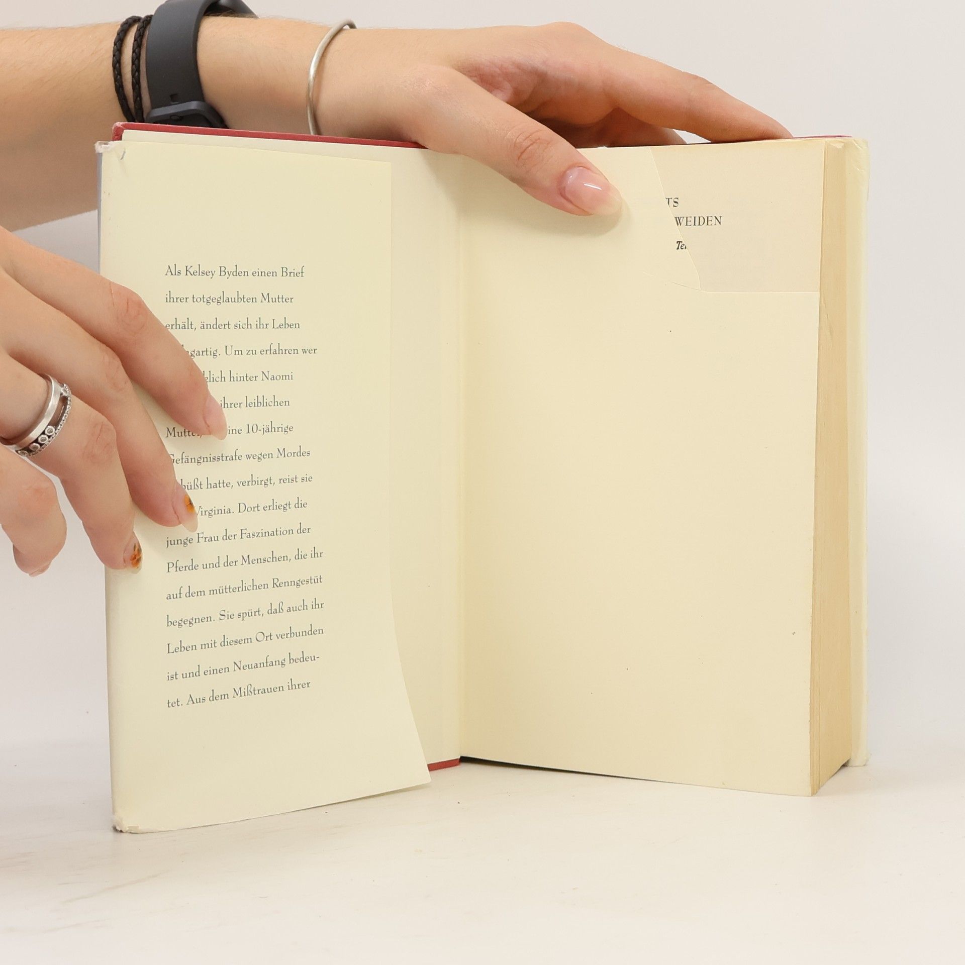 Nora Roberts Schatten über den Weiden
