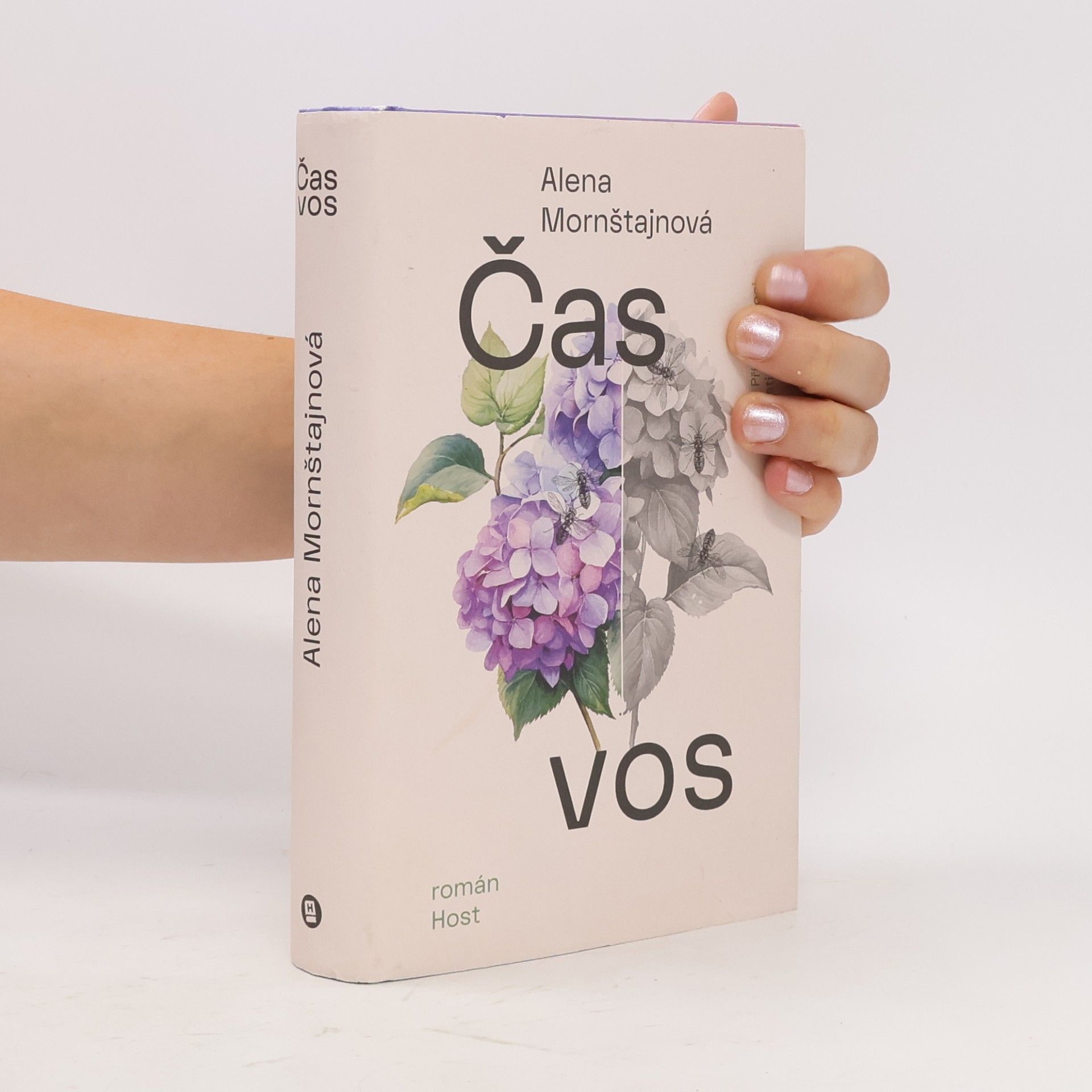 Alena Mornštajnová Čas vos
