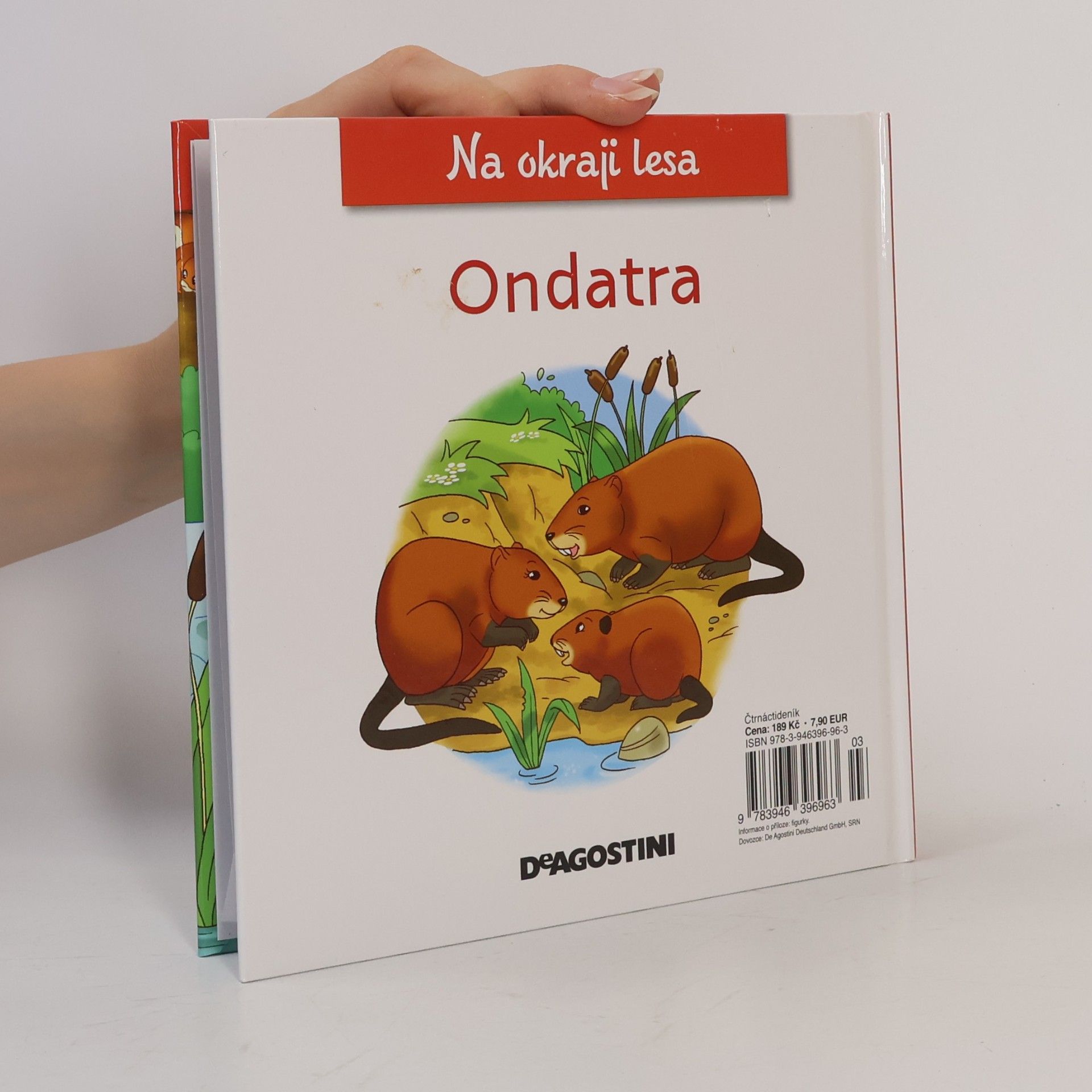 kolektiv Na okraji lesa 53. Mlok
