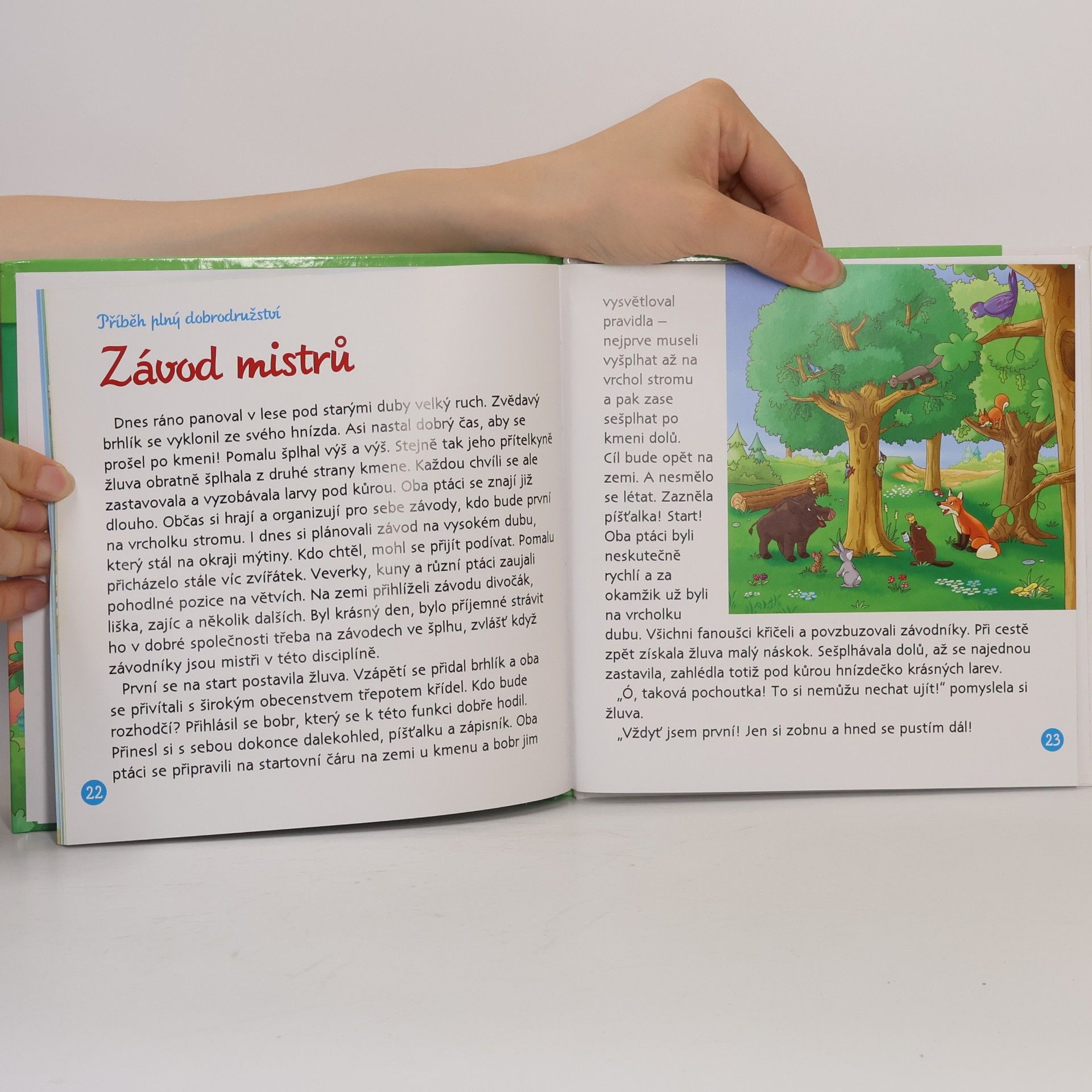 Various authors Bydlím v lese 38. Obyvatelé stromů
