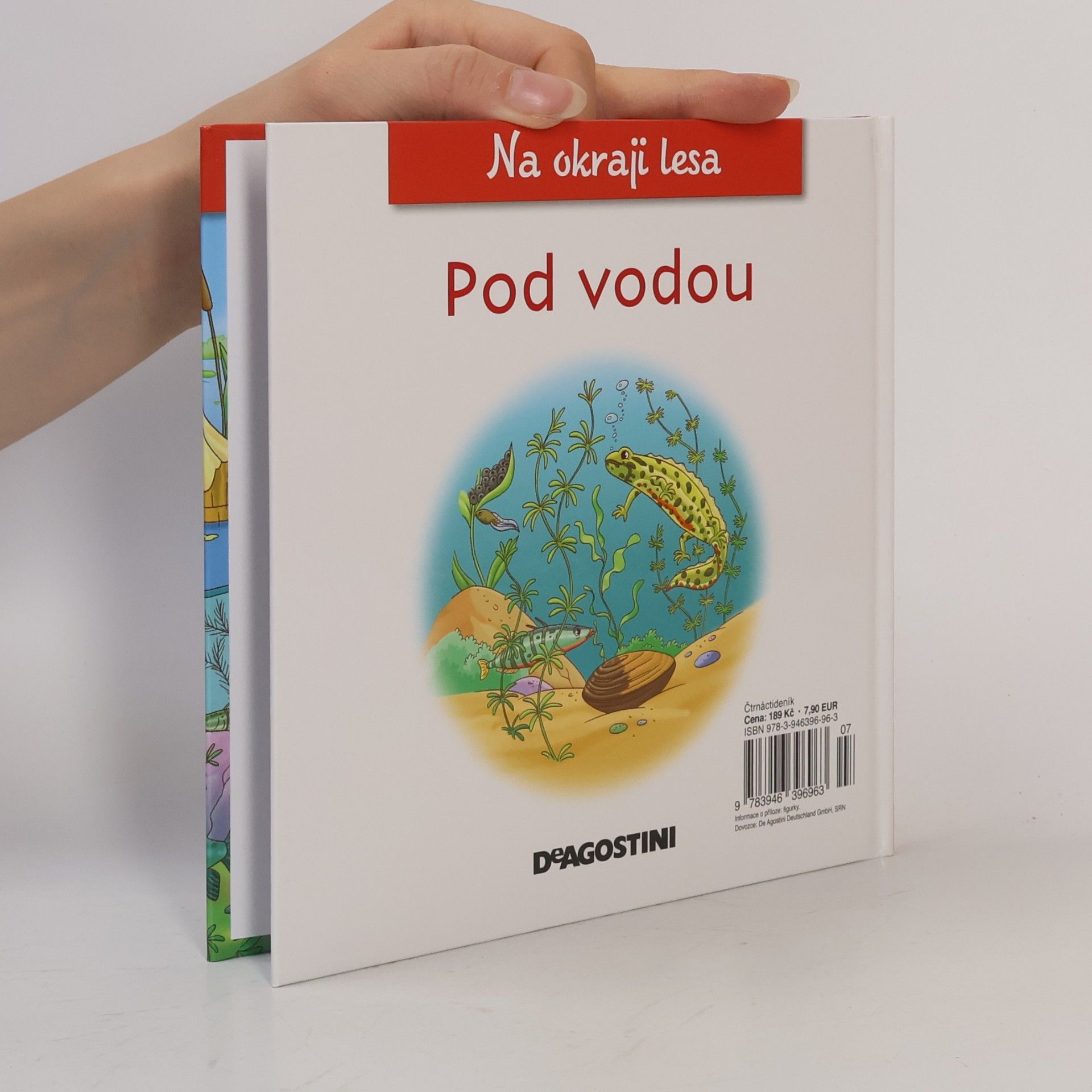 Autores varios Na okraji lesa 39. Pod vodou
