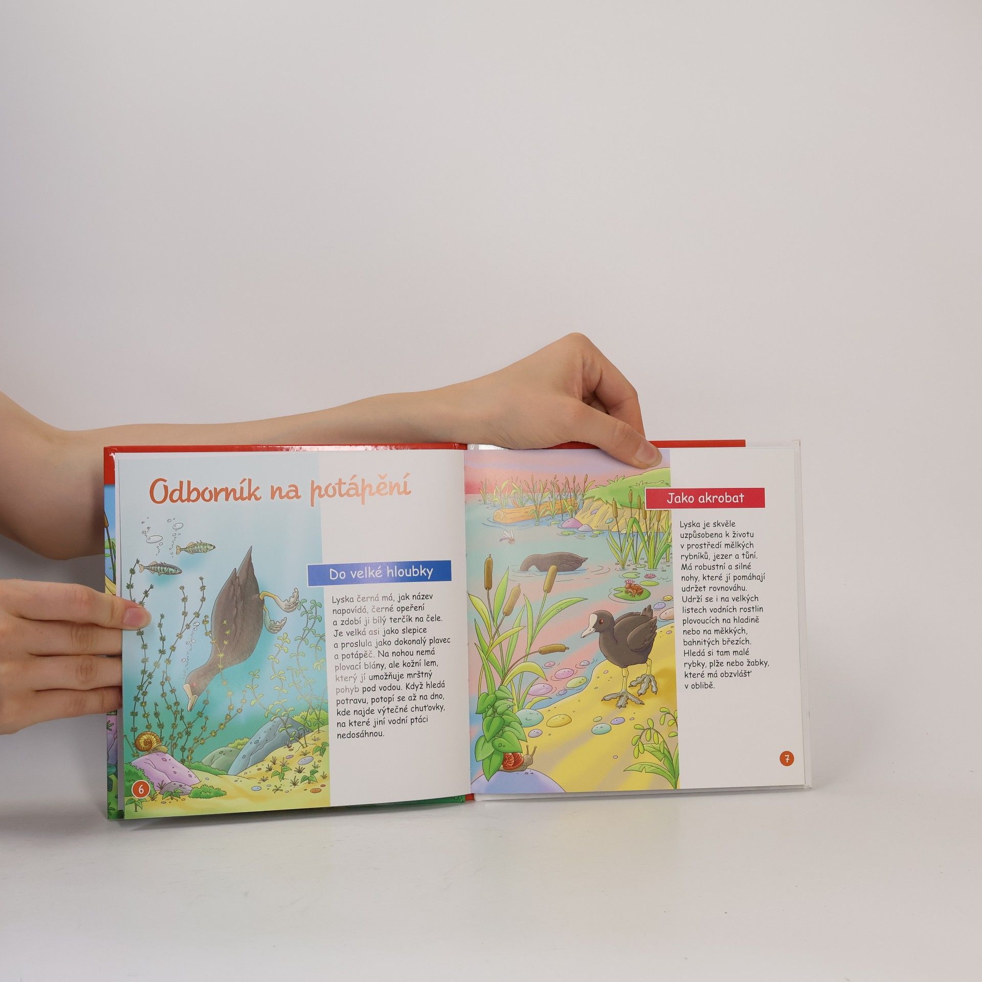 Autores varios Na okraji lesa 39. Pod vodou