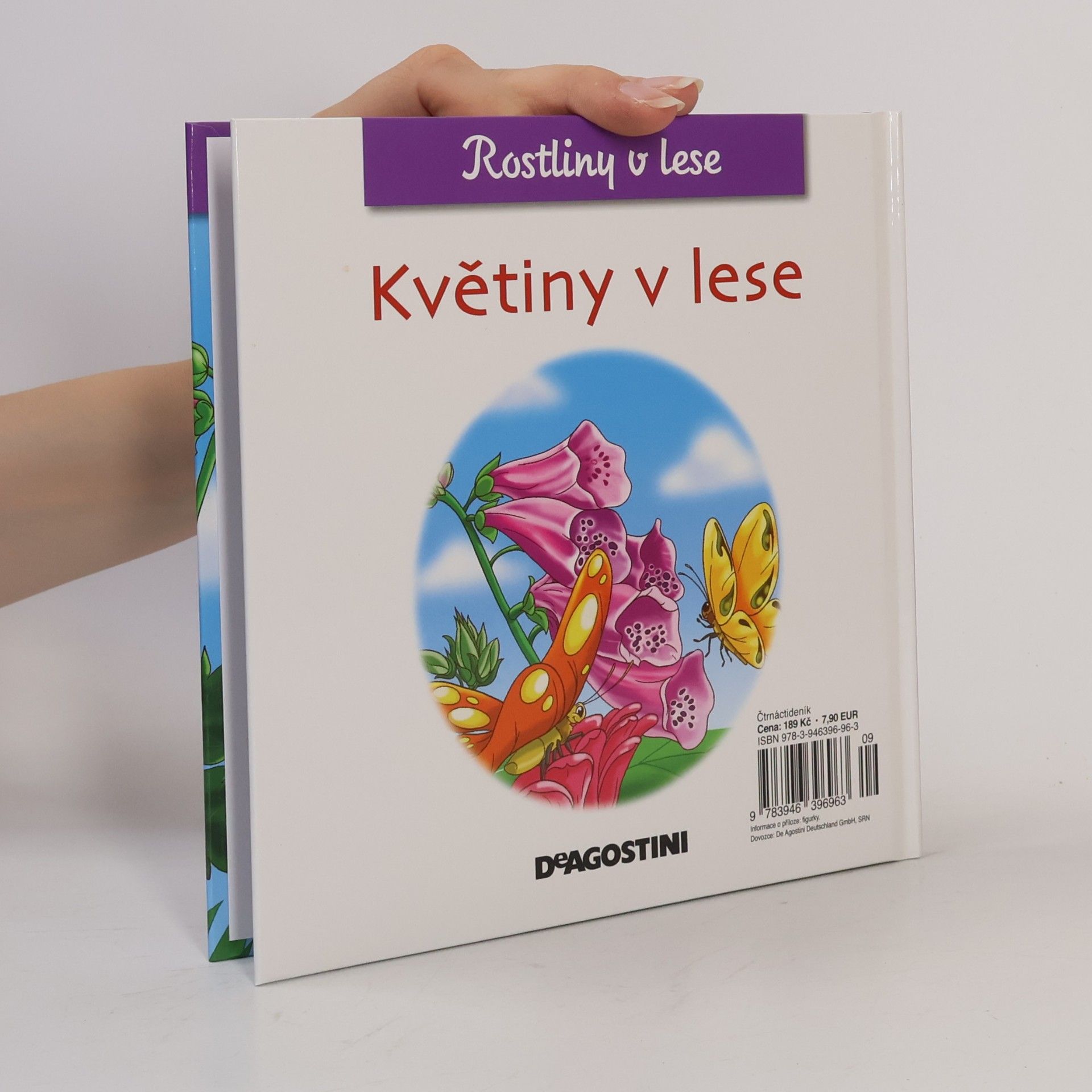kolektiv Rostliny v lese 40. Květiny v lese