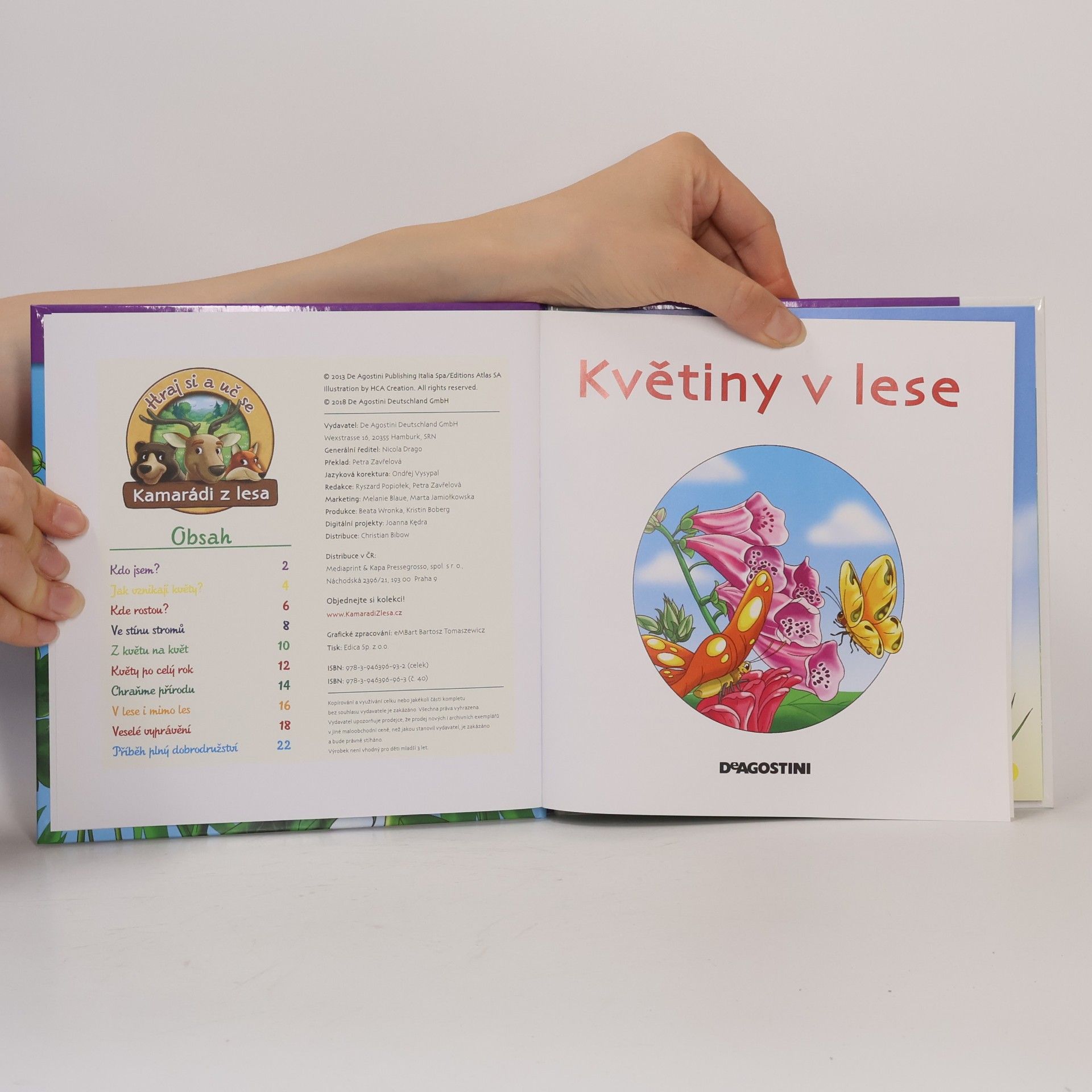 kolektiv Rostliny v lese 40. Květiny v lese