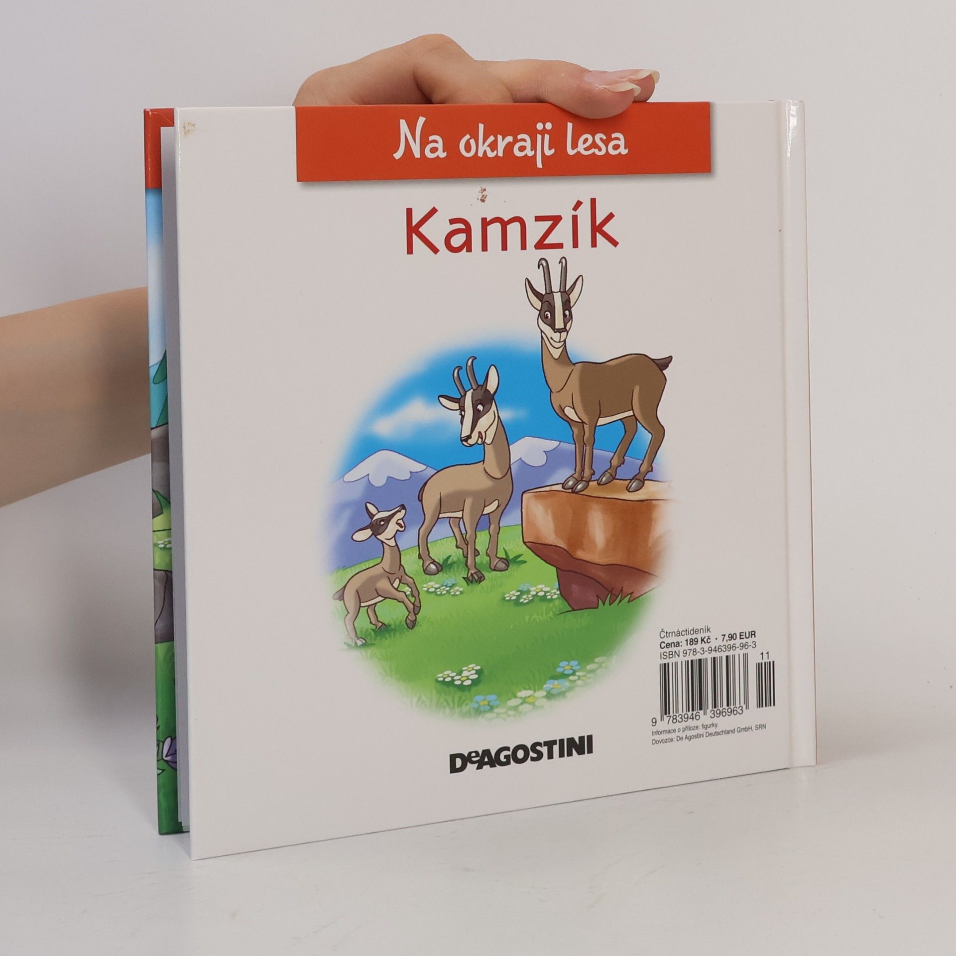 Kolektiv autorů Na okraji lesa 41. Kamzík