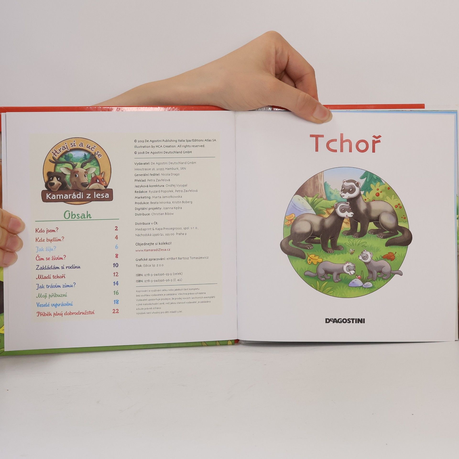 Autorenkollektiv Na okraji lesa 42. Tchoř