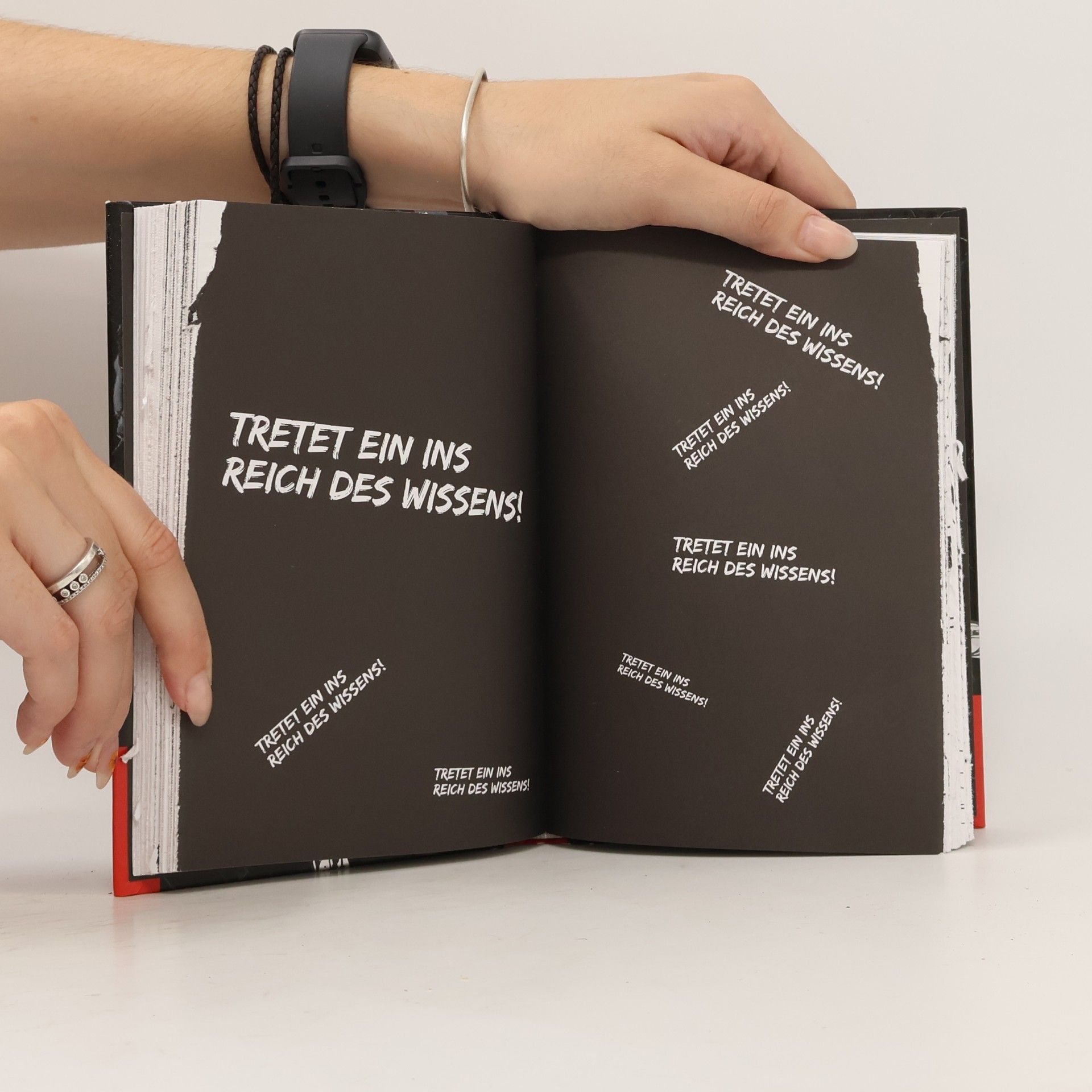 Ulf Blanck Das Geheime Buch