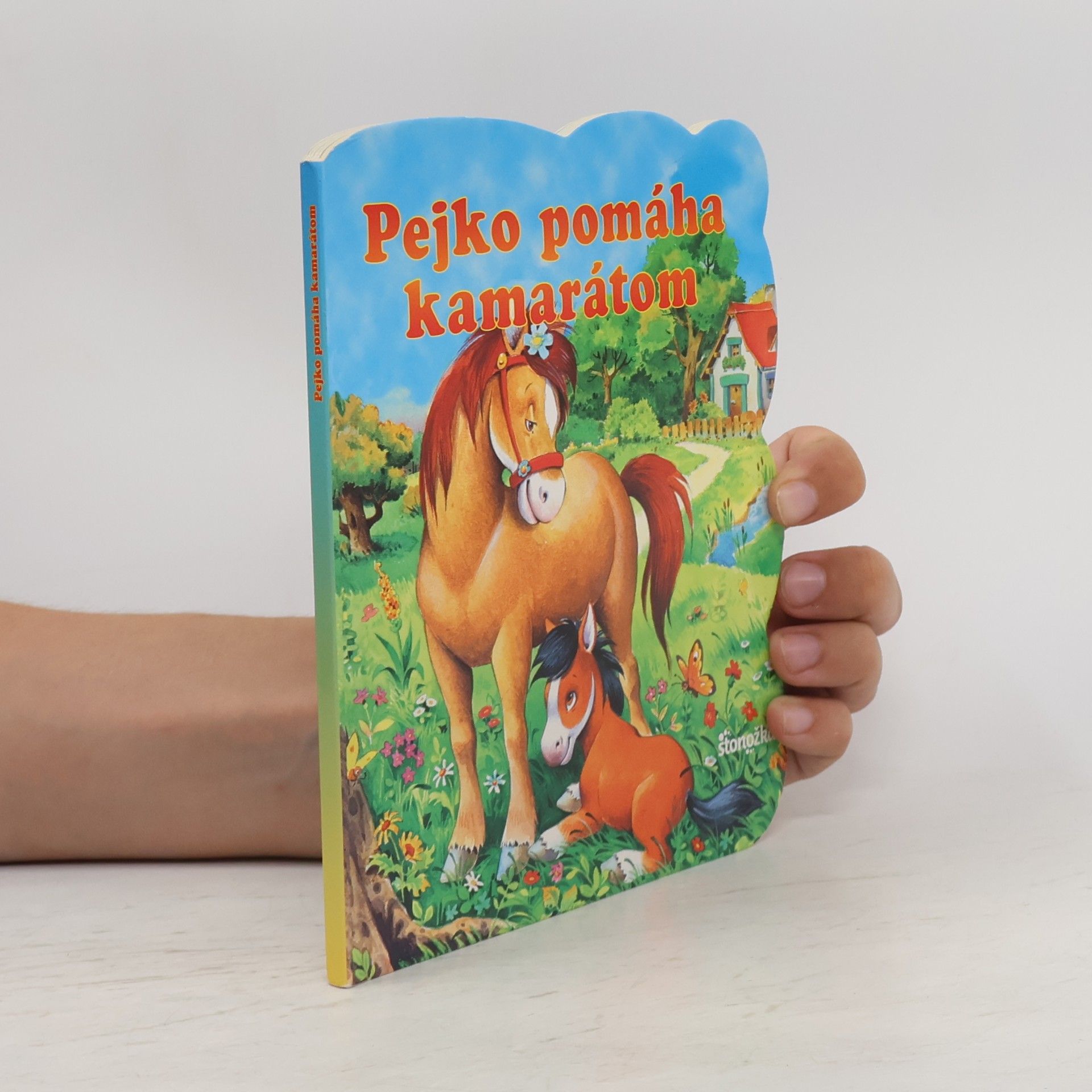 Autores varios Pejko pomáha kamarátom