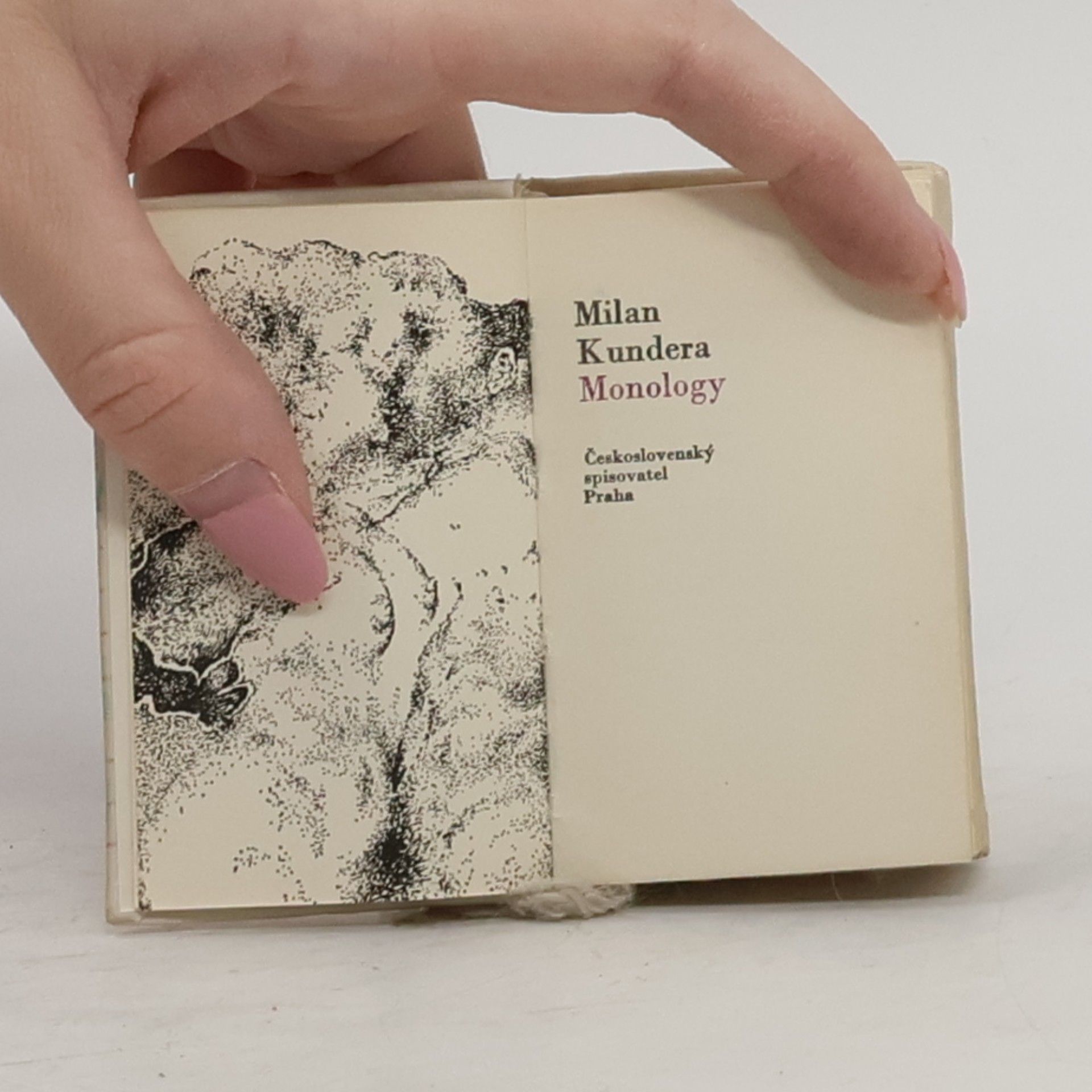 Milan Kundera Monology